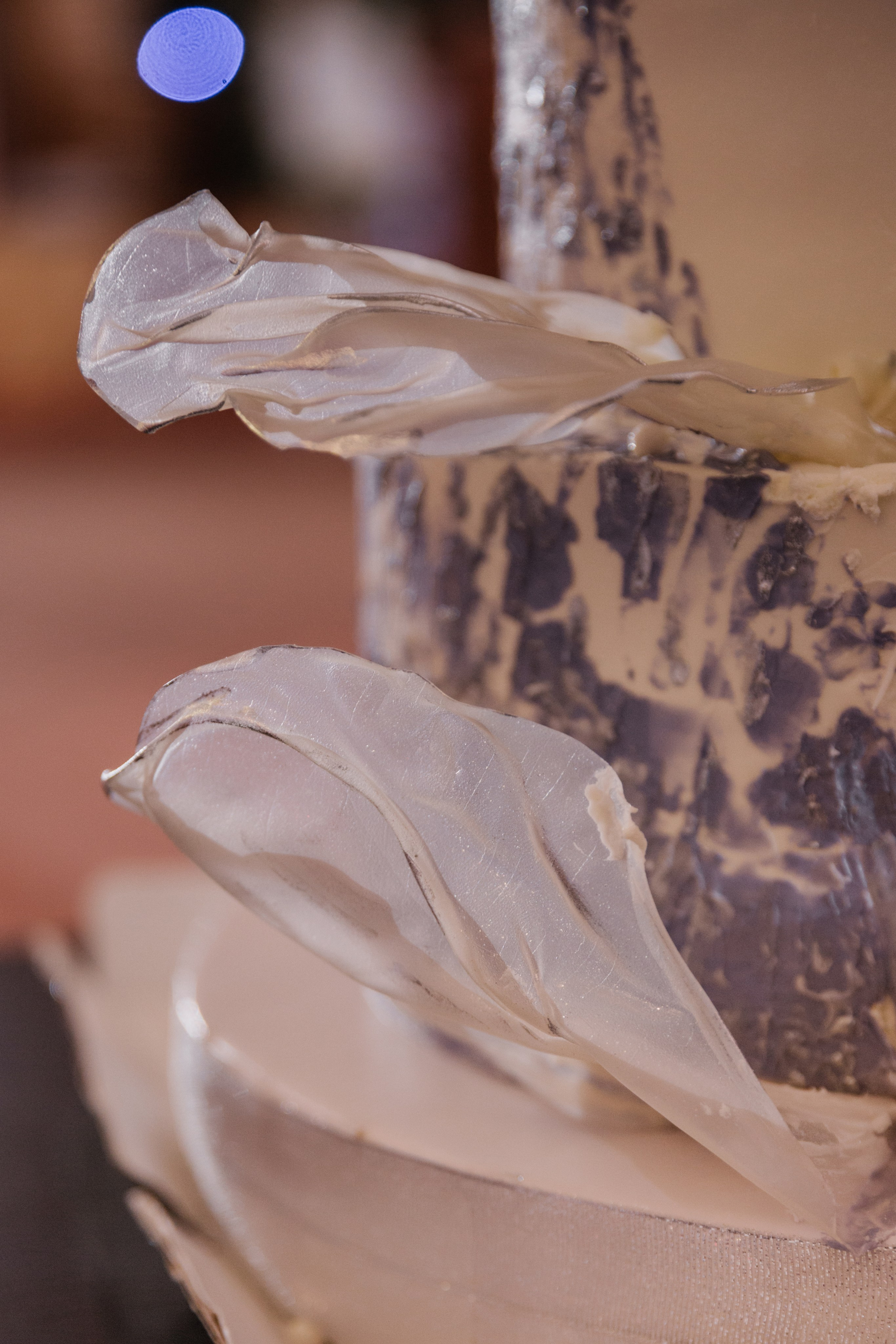 Виталий и Кристина. Персональный, семейный и портретный фотограф в Воронеже Майя Яхонтова