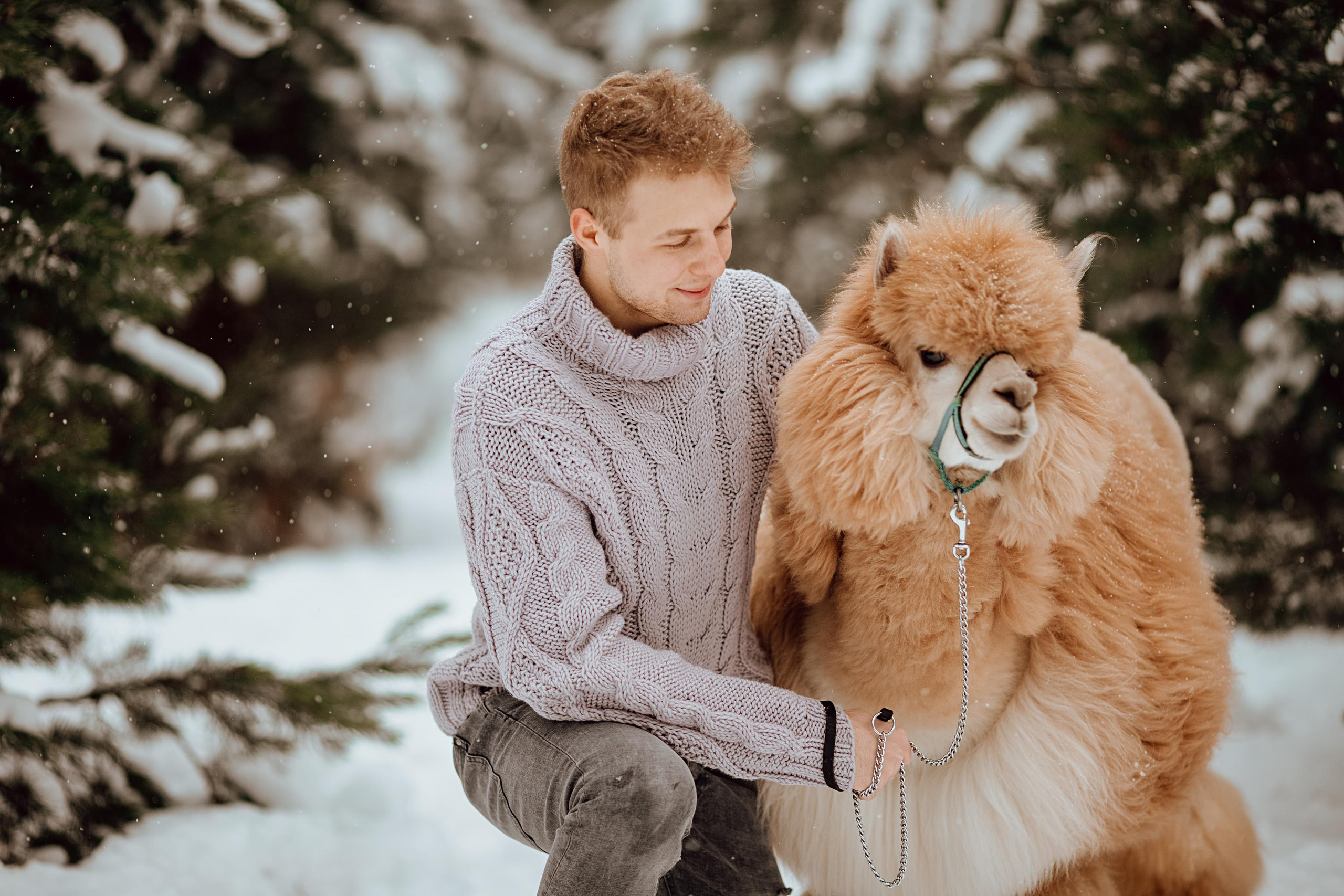Winter wonderland. Алина Малышева, свадебный и семейный фотограф Москва