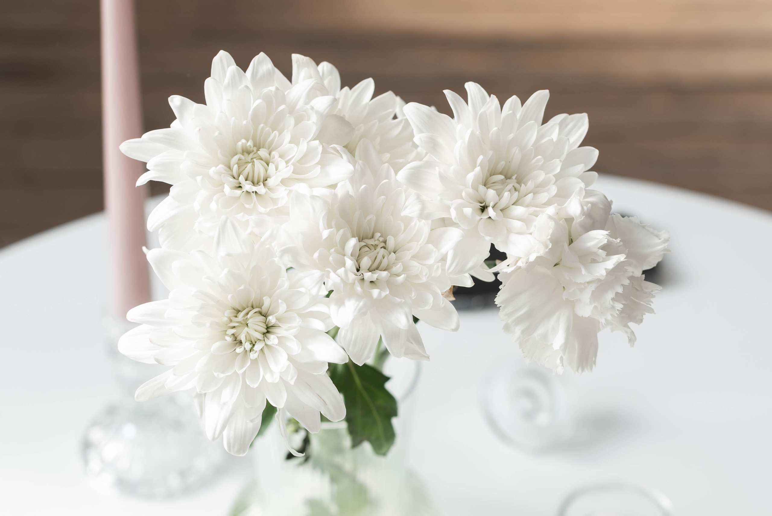 Дарья и Филипп. Свадебный, портретный, коммерческий, предметный фотограф в Ставрополе Иван Белашов