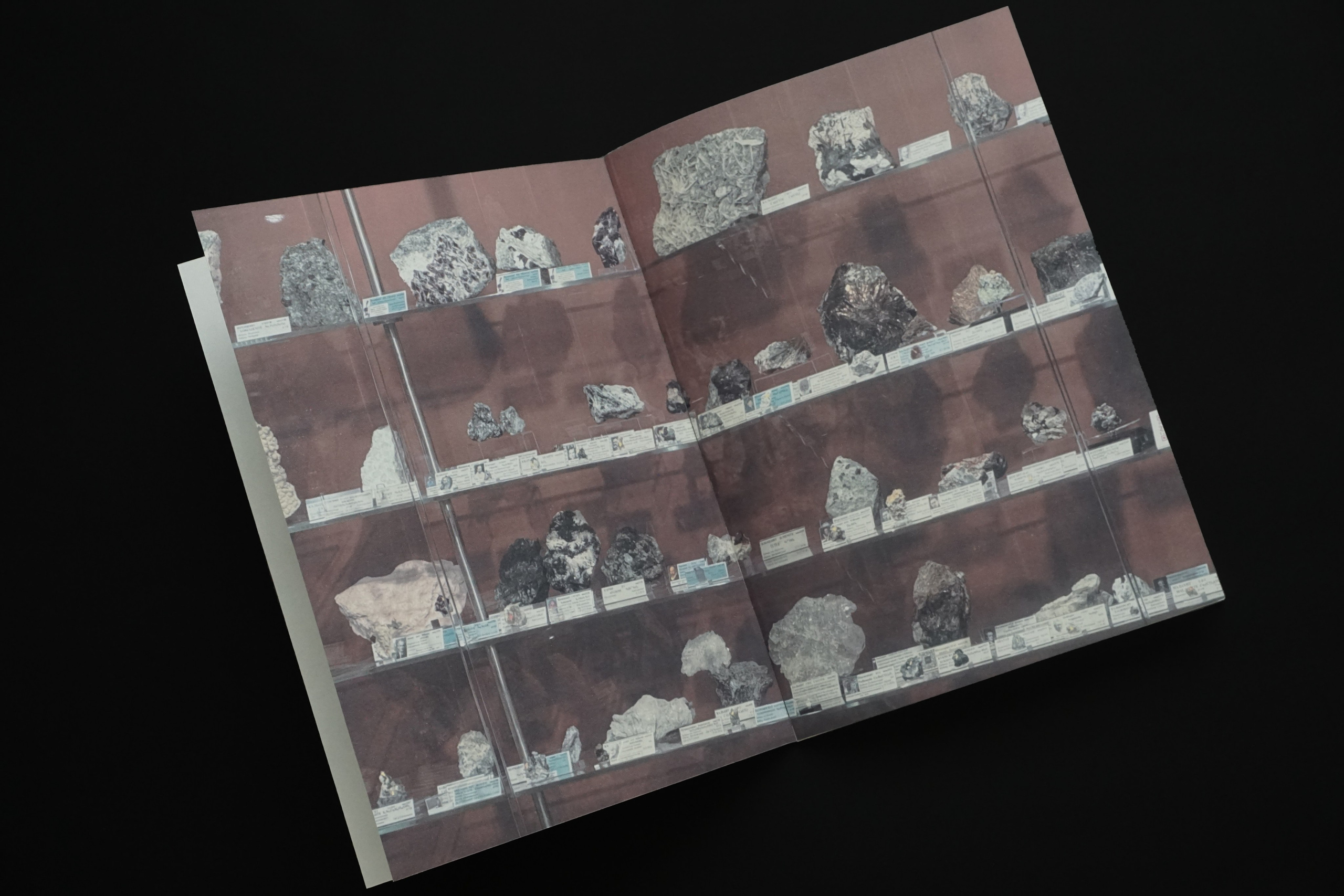 Overview. Anastasia Maryasova