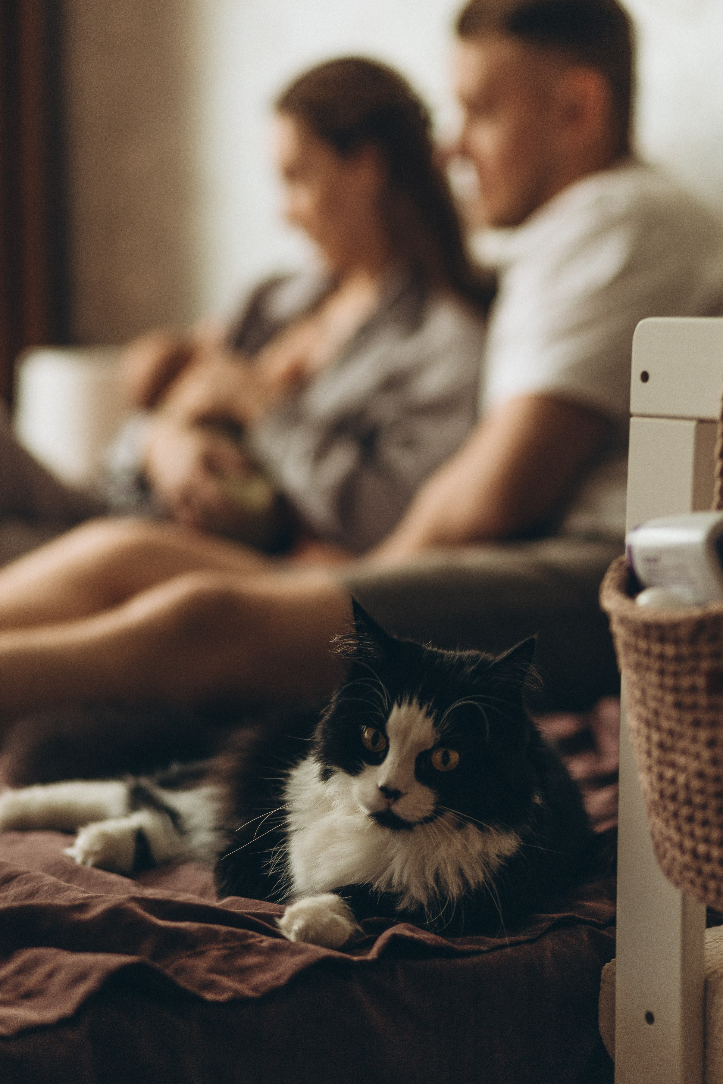 Нью борн домашняя. Семейный фотограф в Волгодонске Краченцева Анна