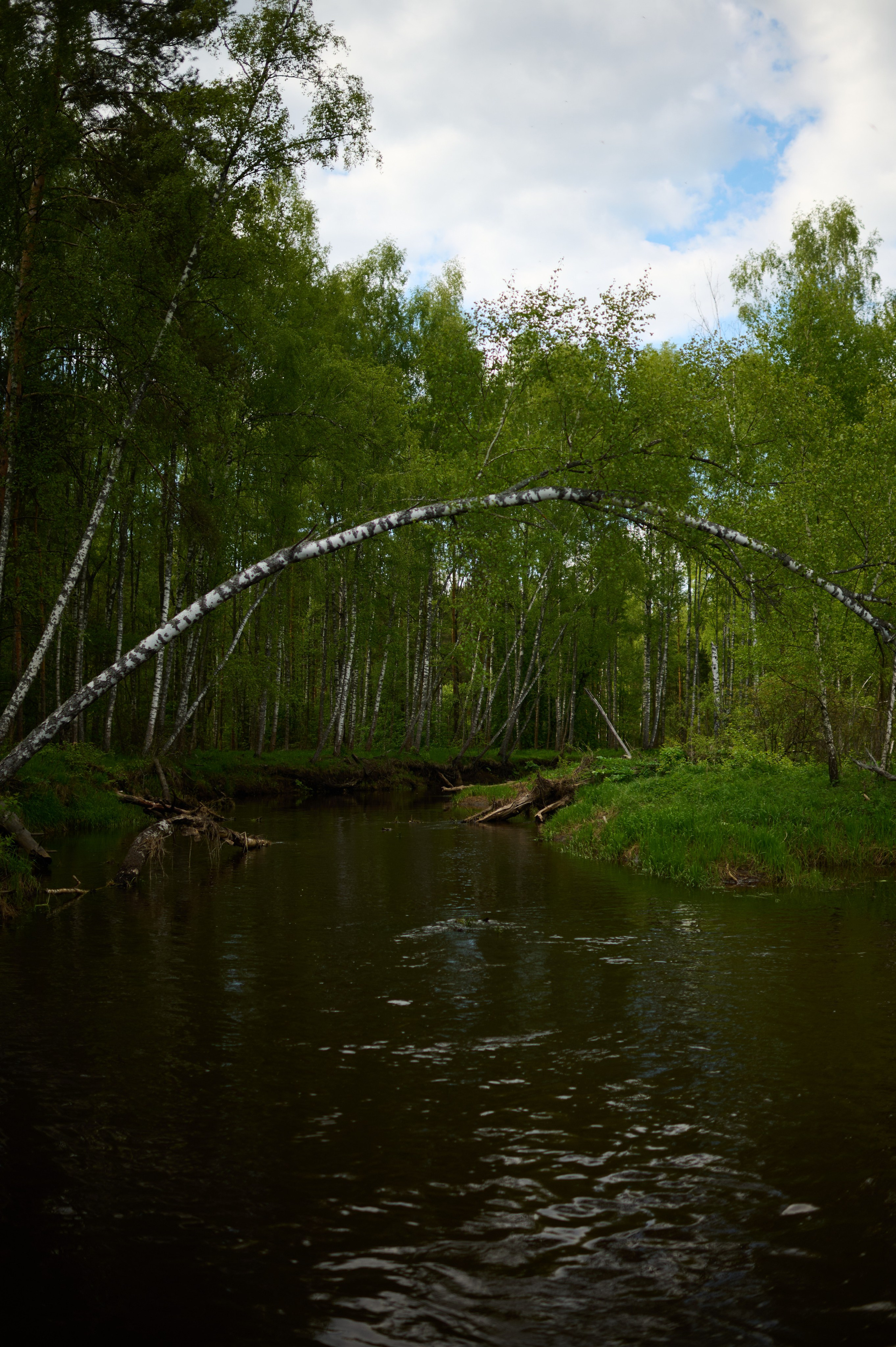 1 мая 2026. Сплав по реке Гуслица. Фотосъемки на сапах, Москва. Сплавы на сапах