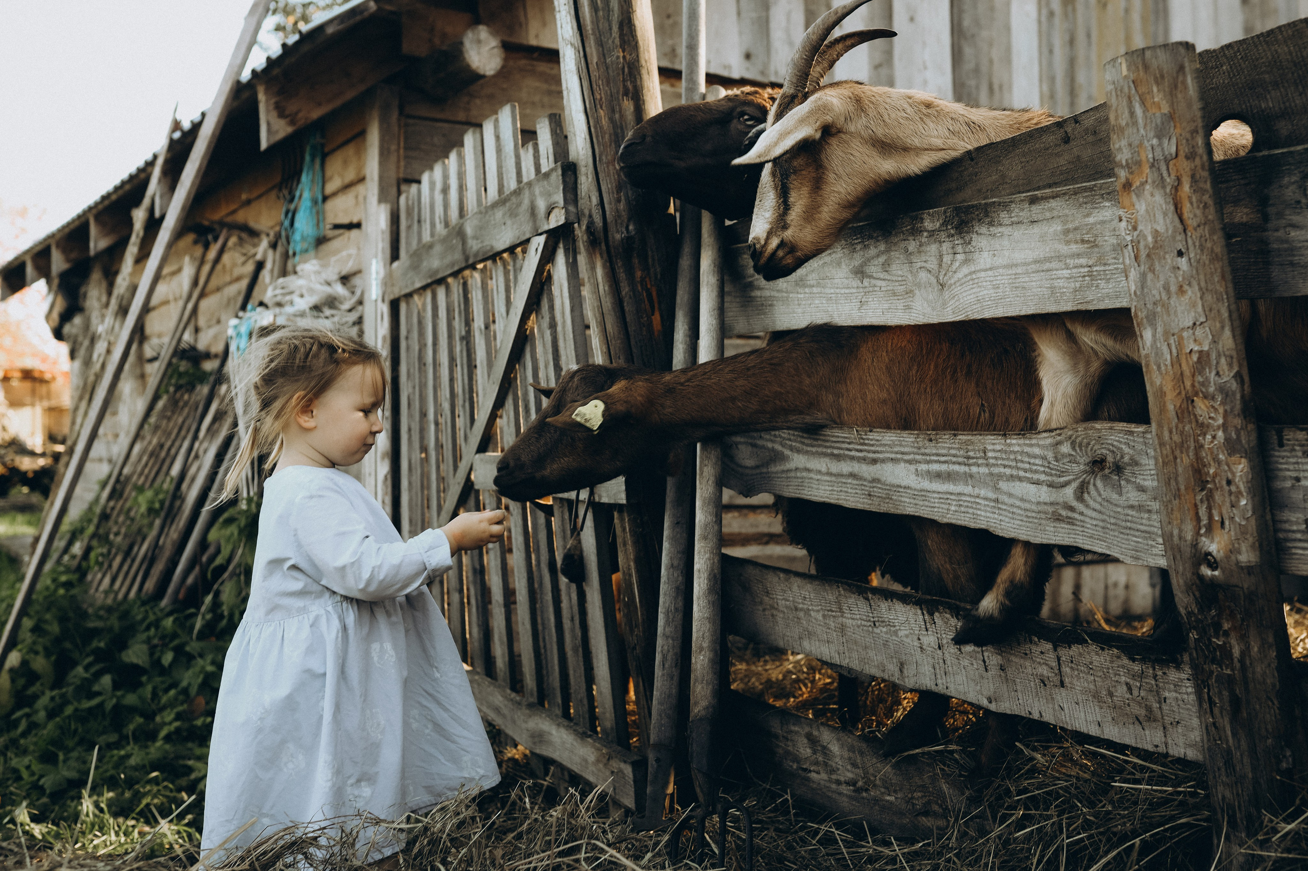 Семейный лайф. Фотограф Чучалина Елена