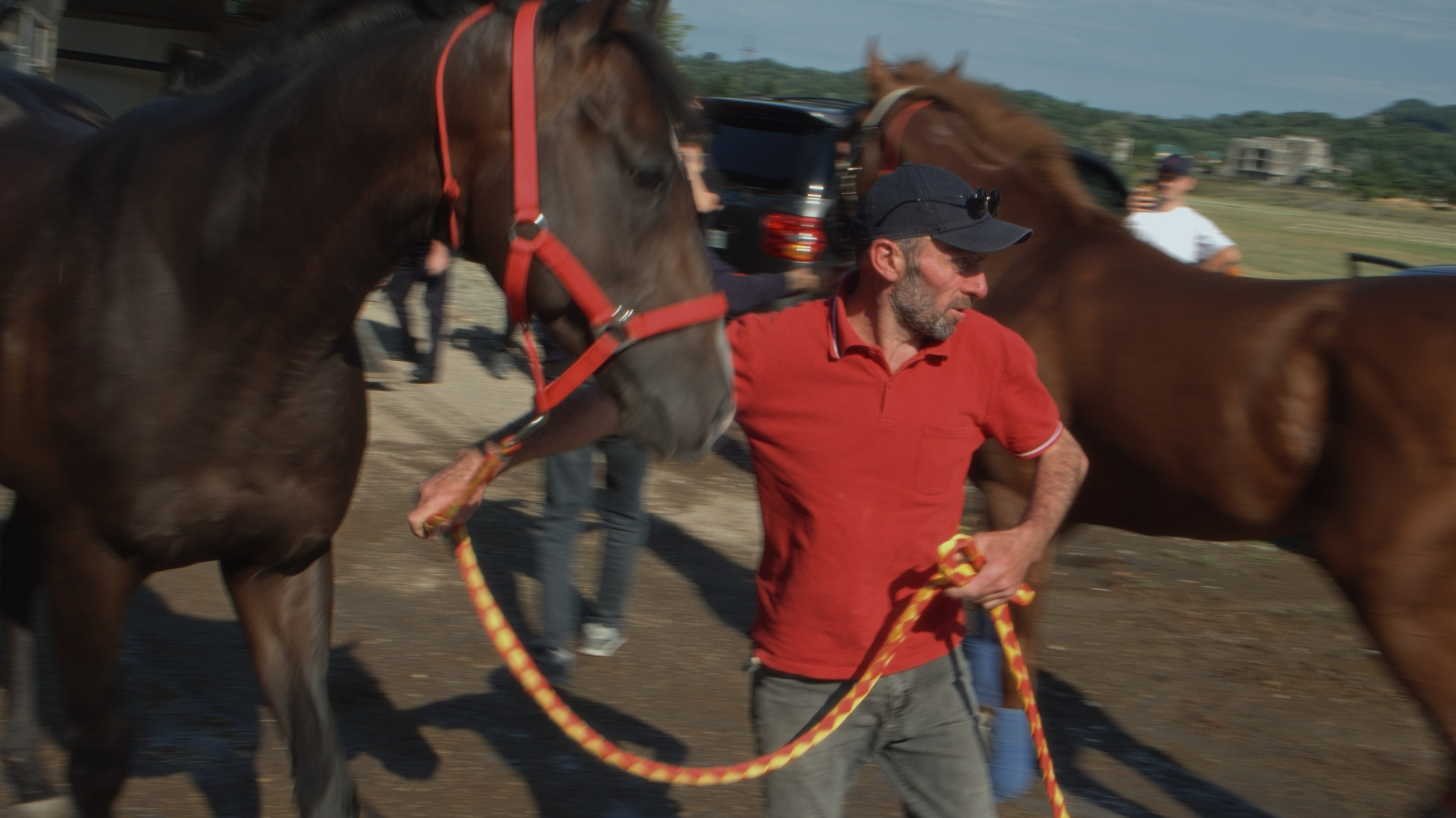 Абхазские скачки