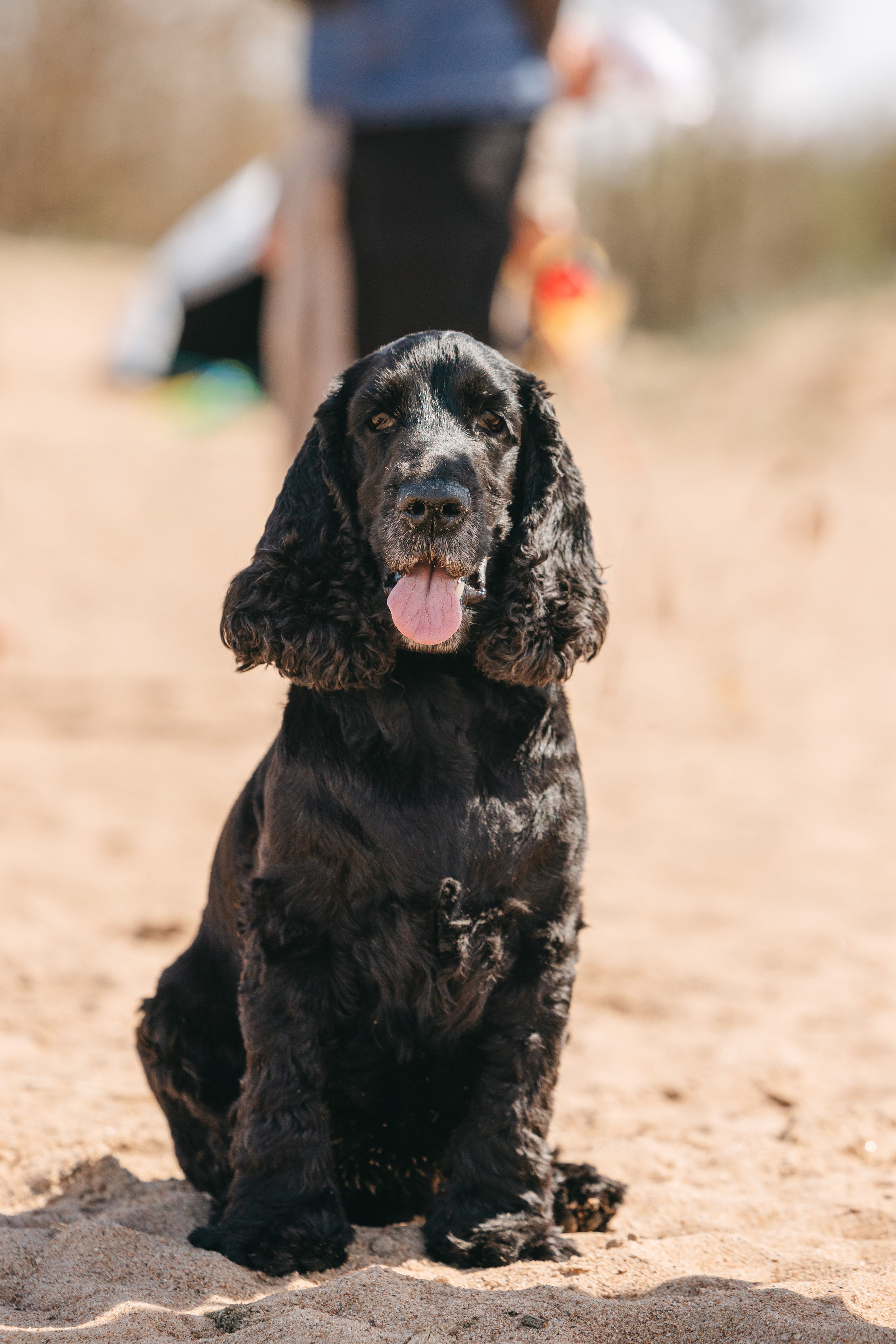 Спанимания. Фотограф анималист Осипчикова Мария