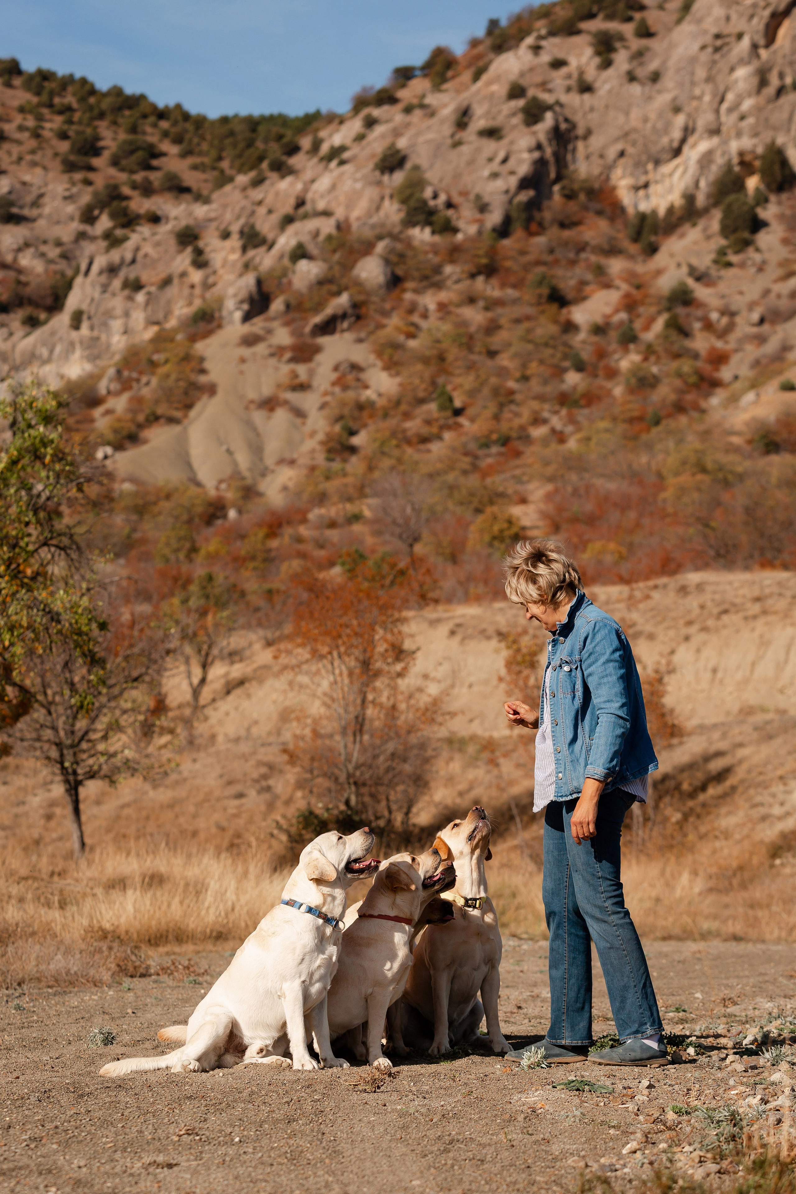 Лабрадоры и горы. Фотограф-анималист в Краснодаре Маша Мельникова
