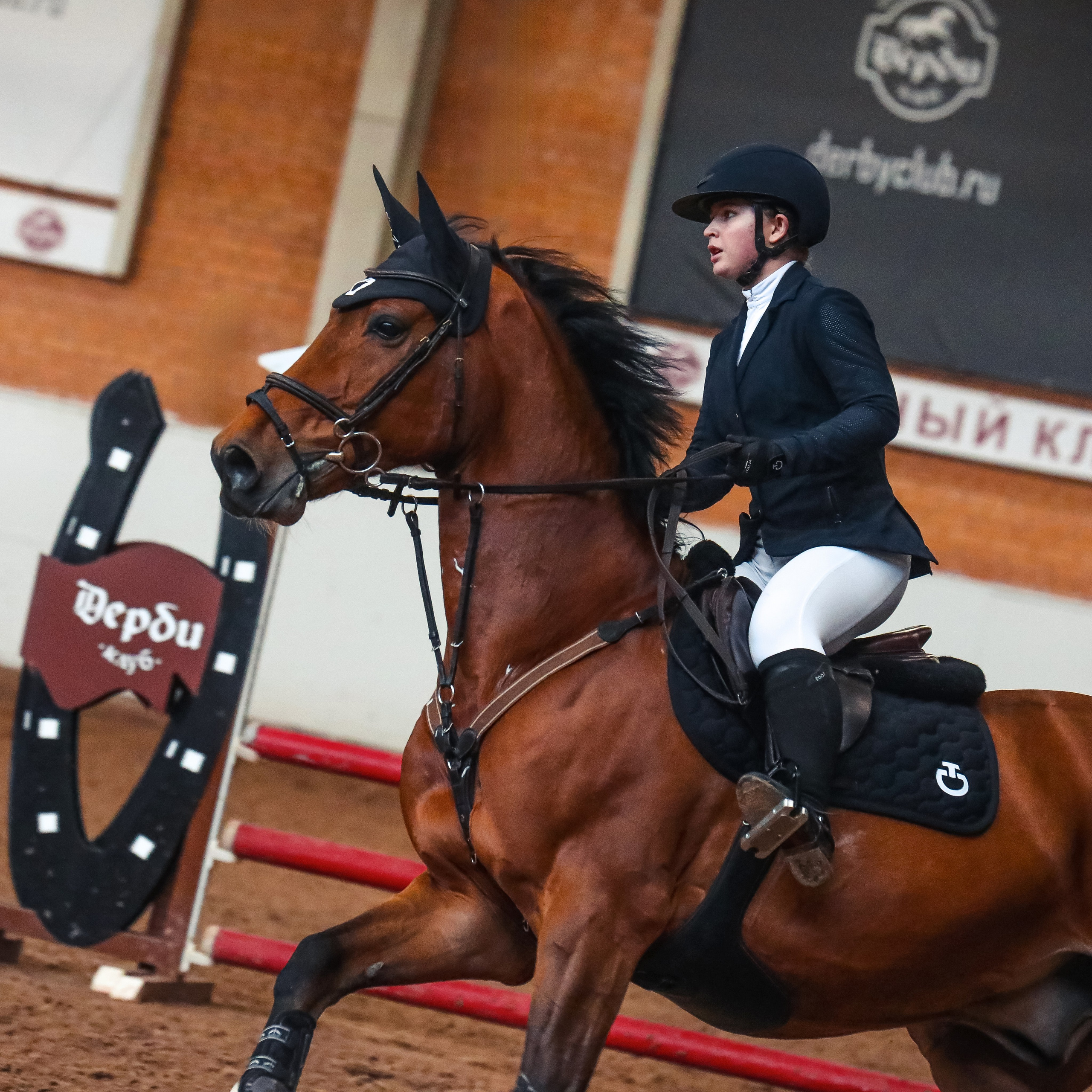 Лошади Евы Демидовой. Ева Демидова. Спортсмен по конкуру в Санкт-Петербуре
