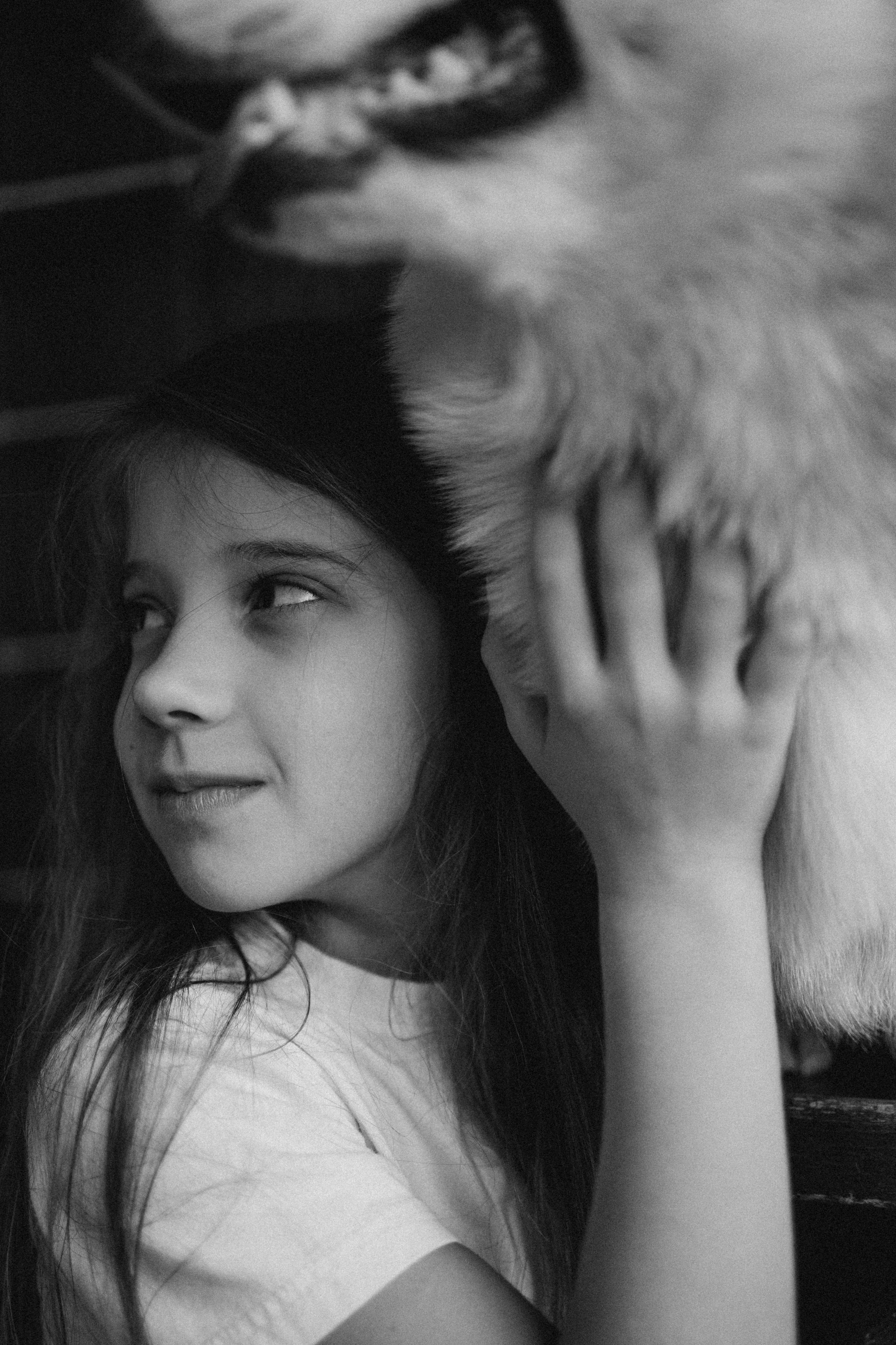 Зевс и его семья. Фотораф — анималист Мария Шистка