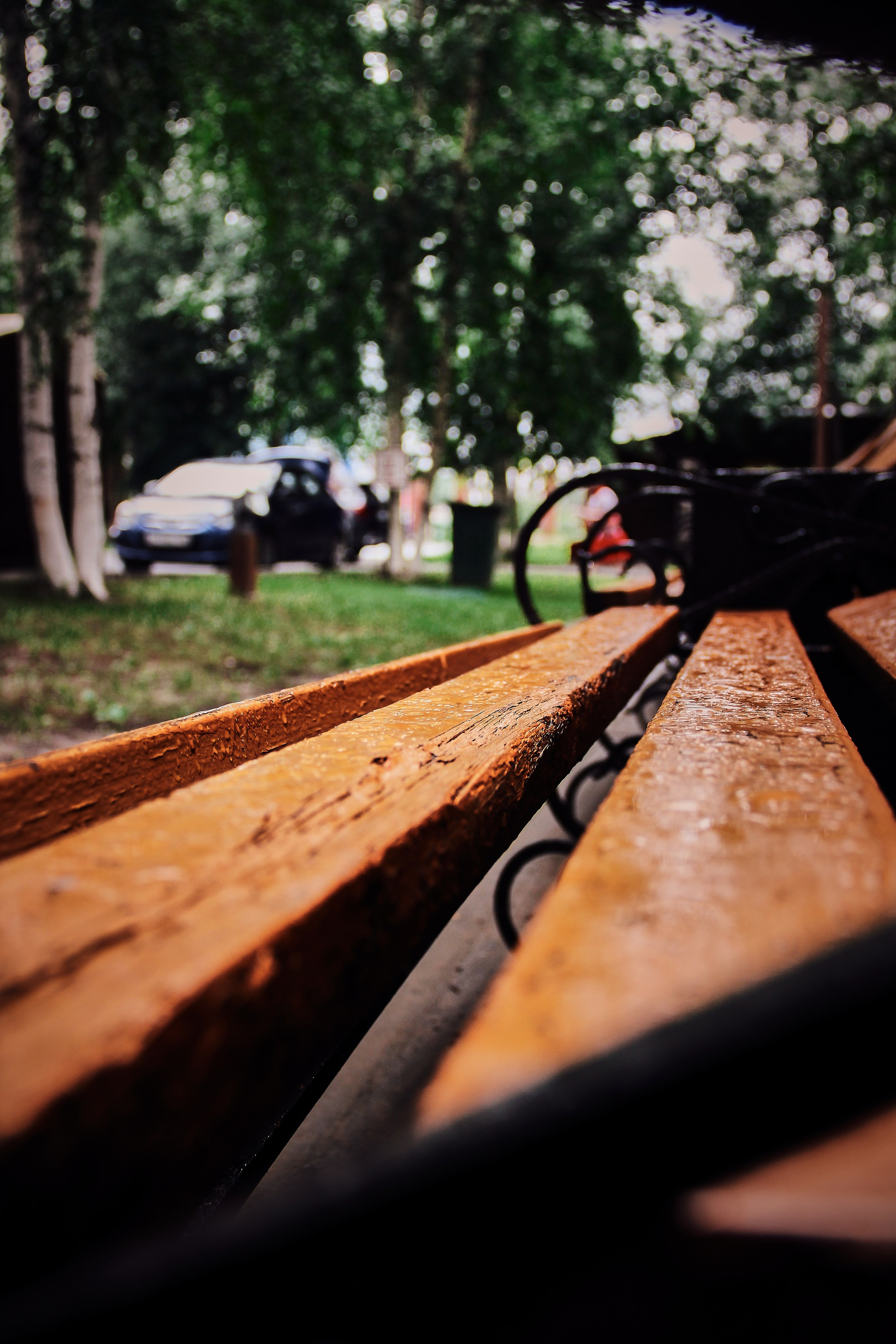 «Фестиваль традиционных русских ценностей» (5.07.2025 г.). Фотограф: IRINA K