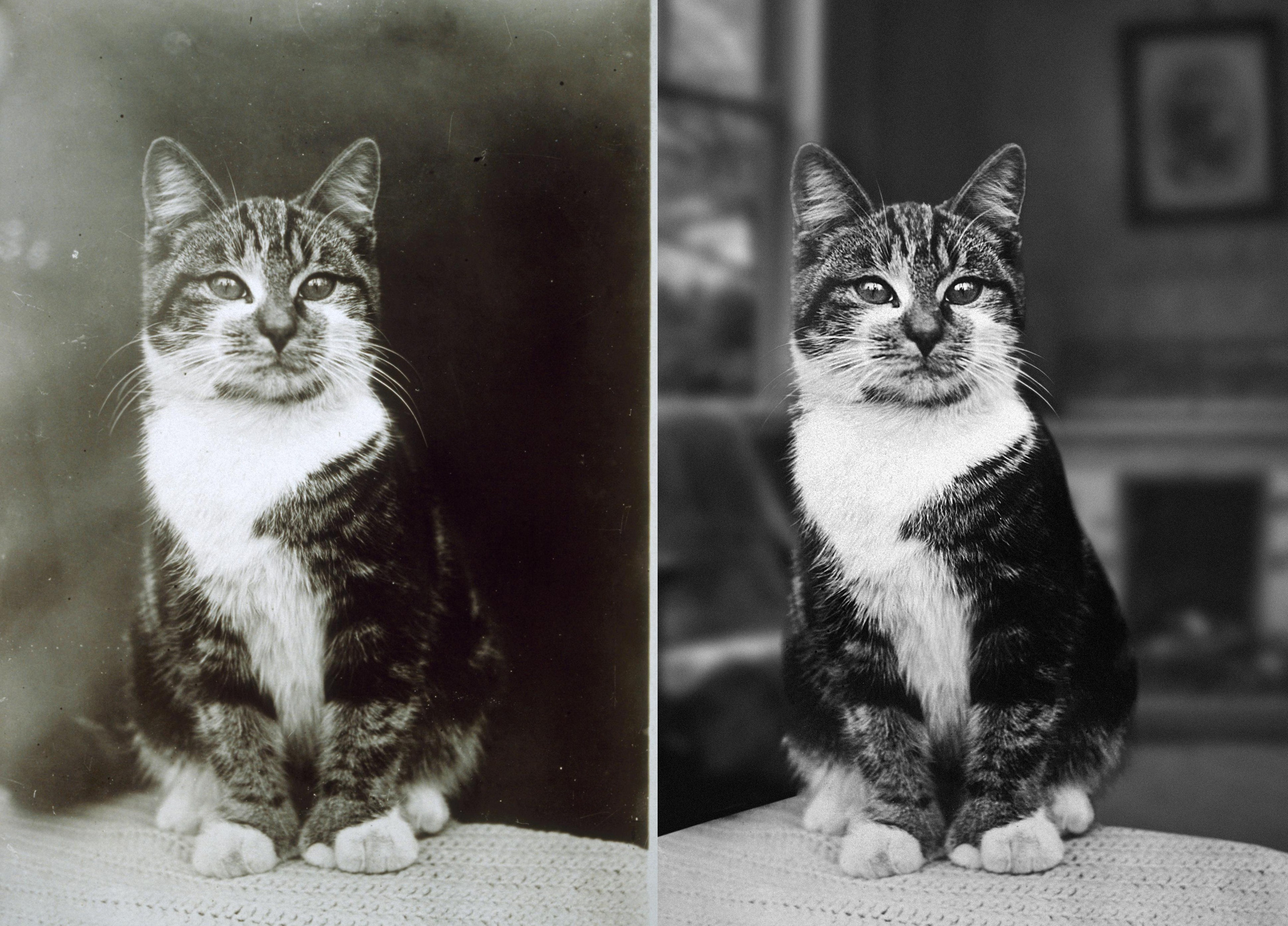 Реставрация фото. Фотограф: IRINA K