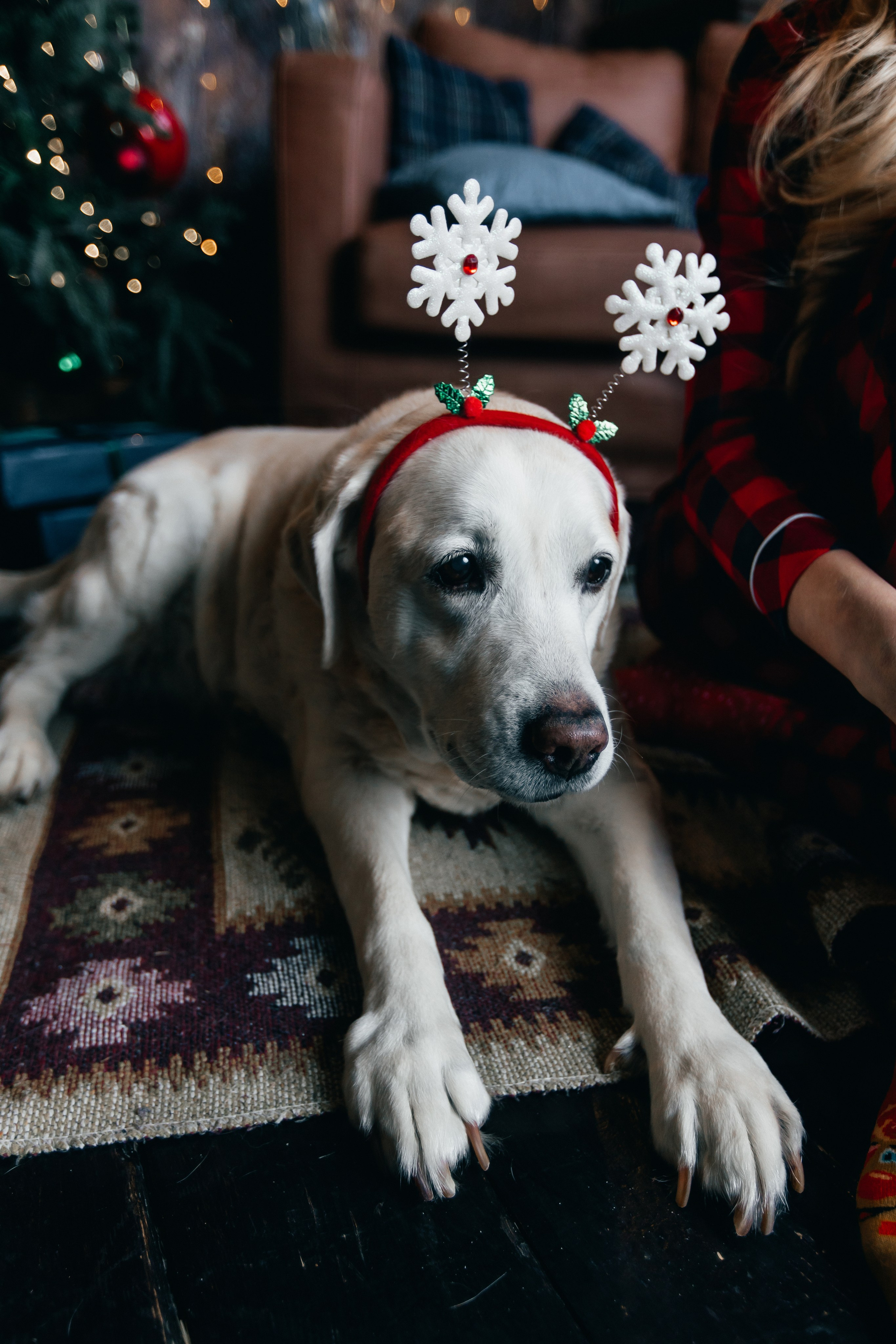 Новогодние фотопроекты. Свадебный и семейный фотограф в Нижнем Новгороде и Москве Сергей Полян