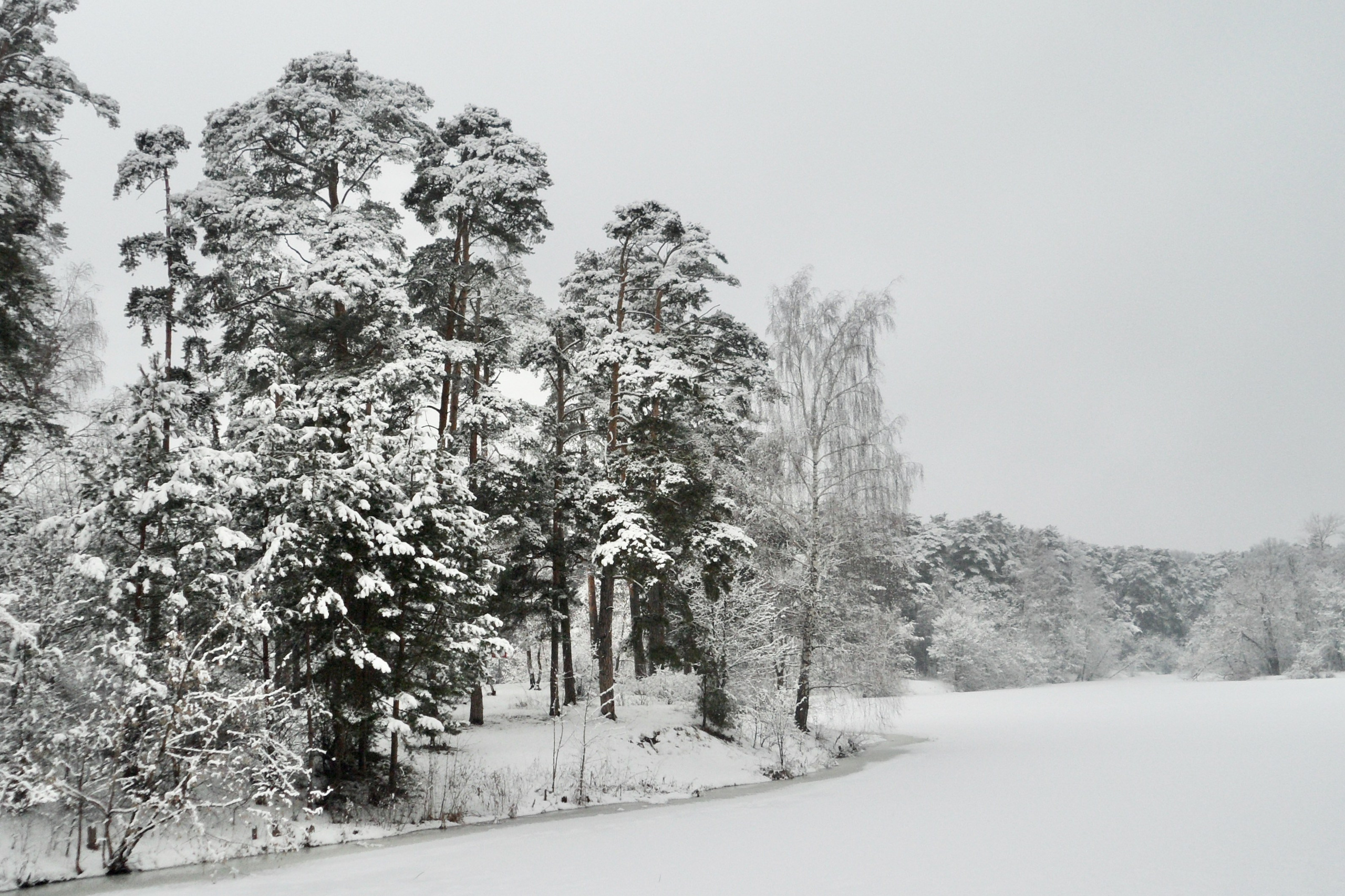 Чудесная природа. Школьные выпускные альбомы в Москве Марина Николаева
