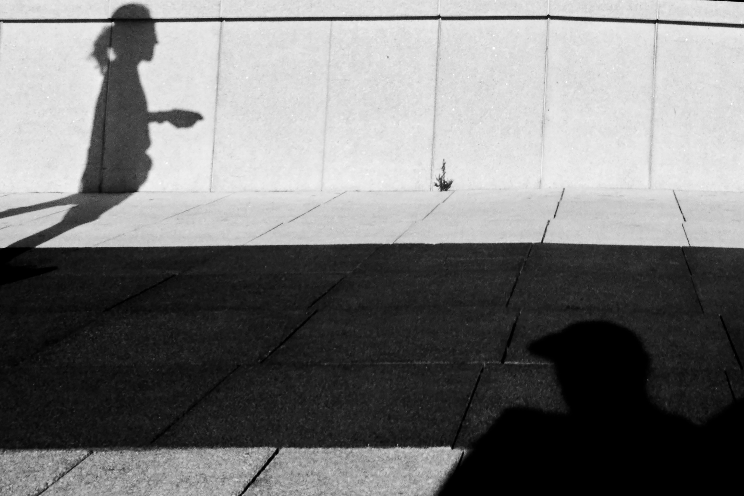 Жизнь, люди, стрит, вокруг, животные, на улице. Яркие фото на Чёрном море