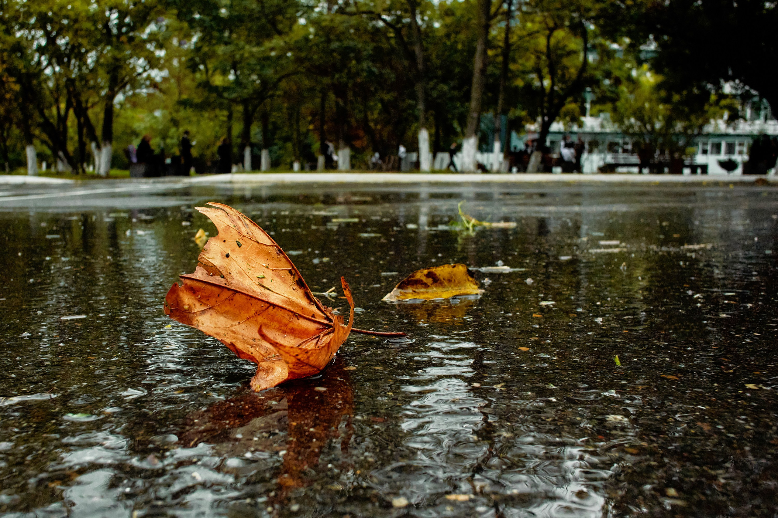 Текстуры и другие фоны. Textures and other. Яркие фото на Чёрном море