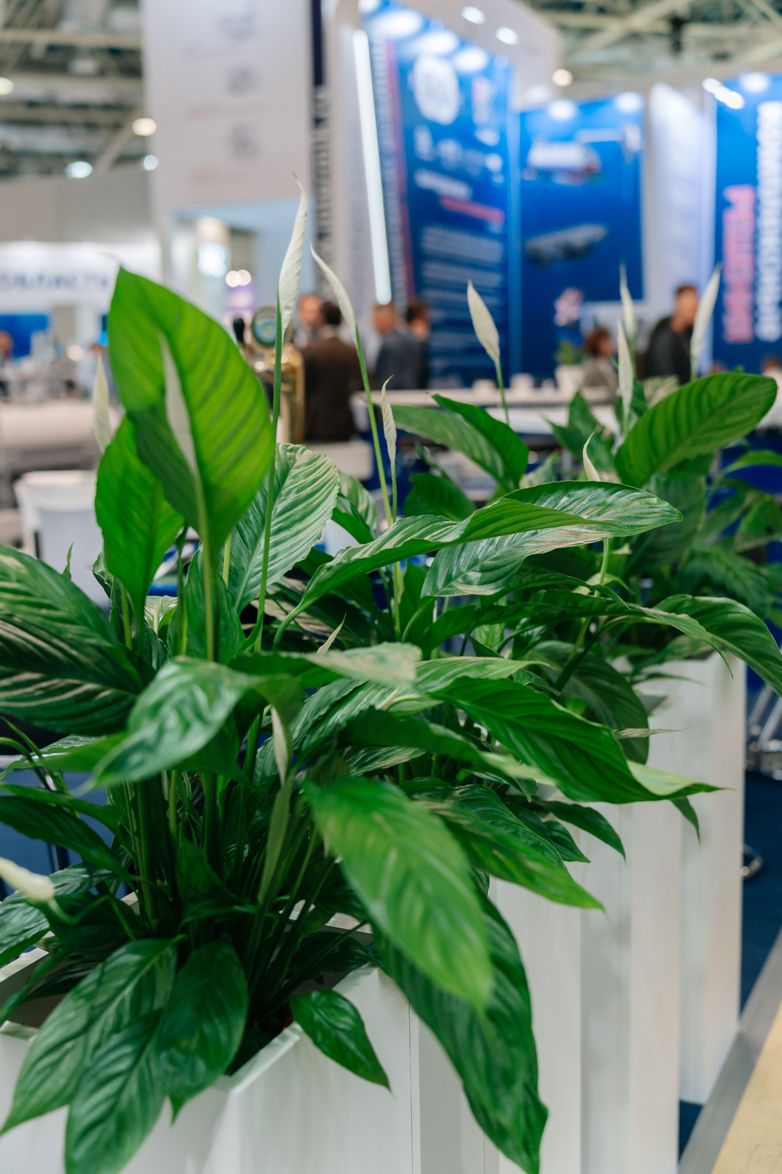 Выставка Агропродмаш, работа на стенде компании Индустриальные решения