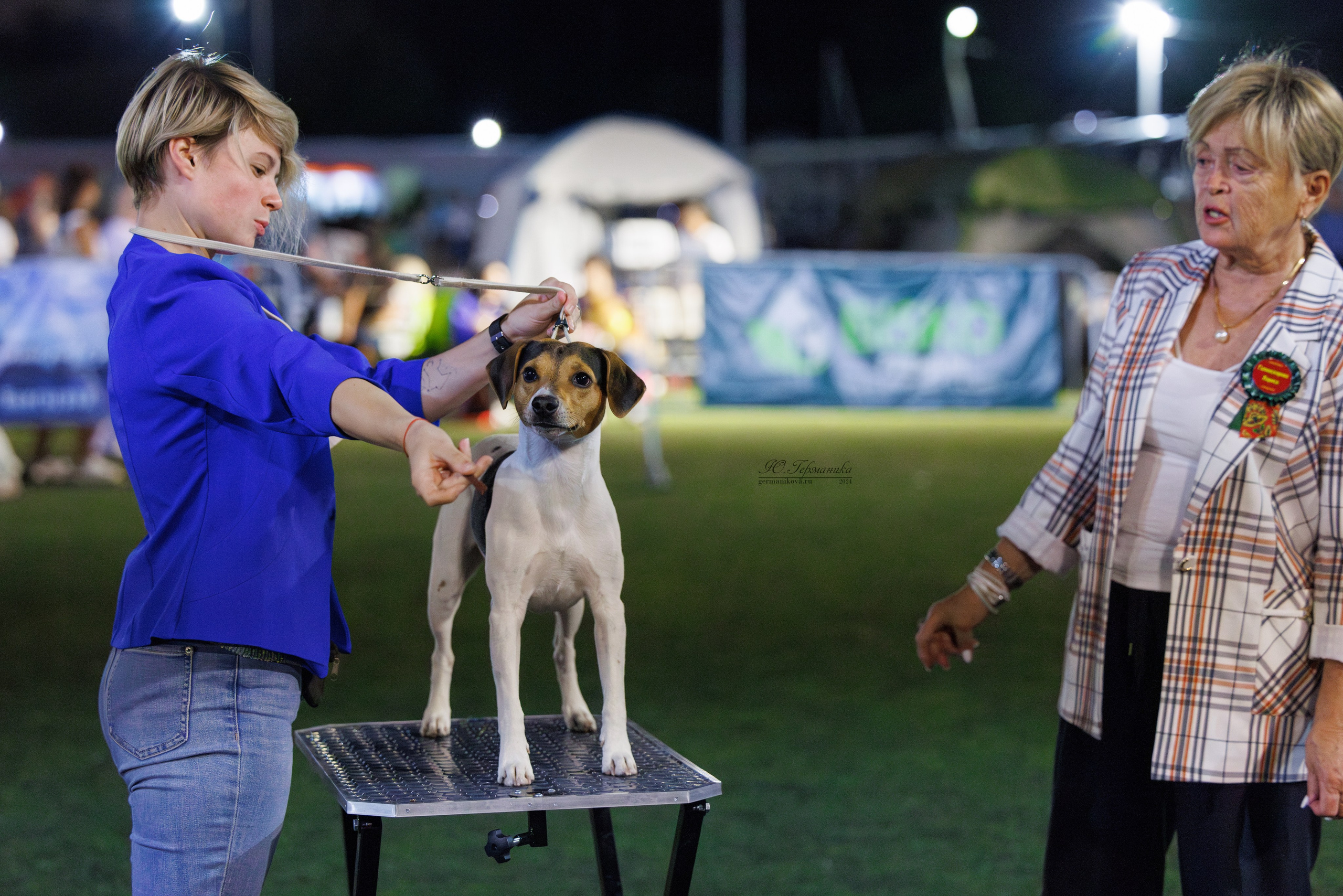 Волгоград 2-4.08.2024. Фотограф-анималист Юлия Германика
