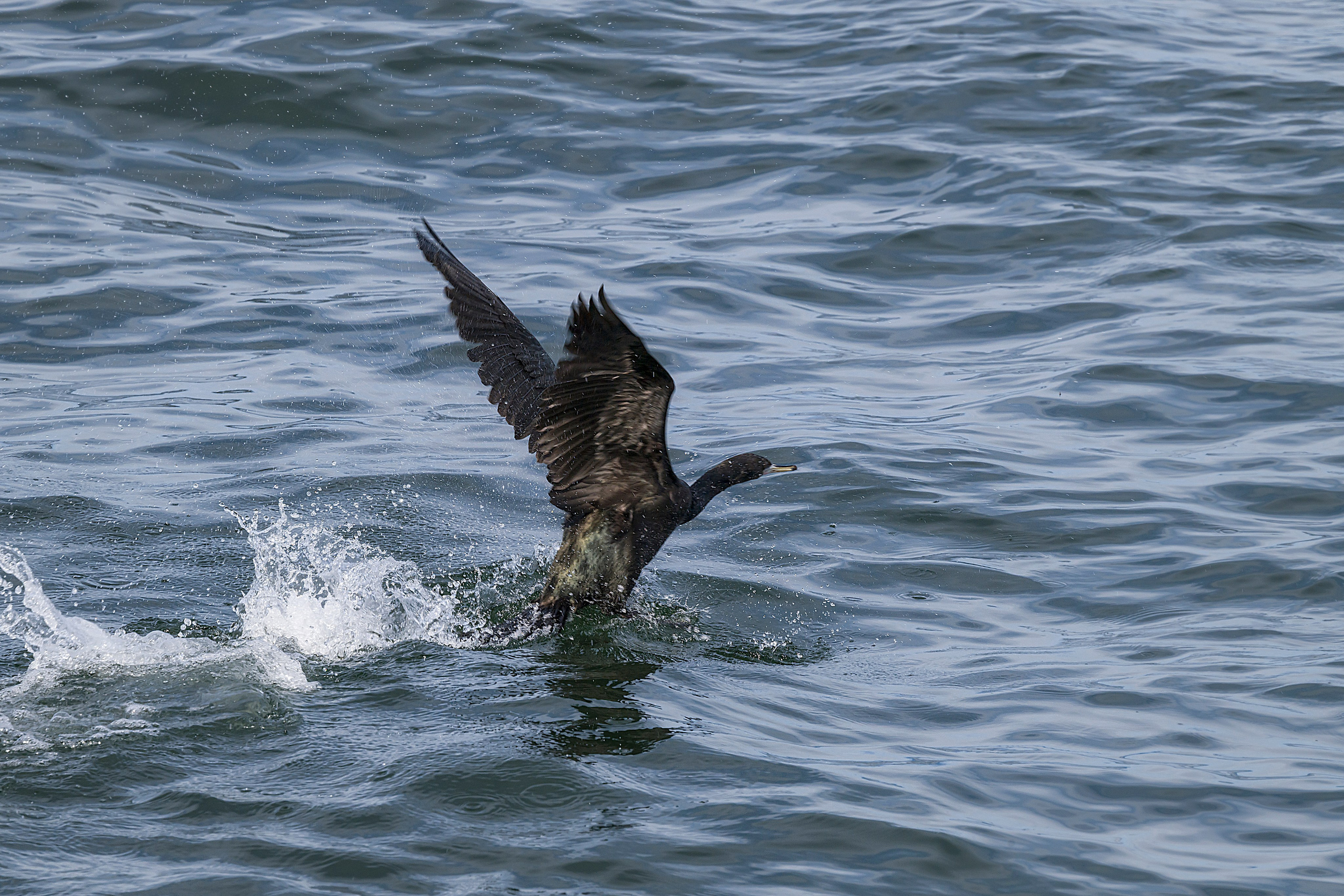 Камчатка. Портретный фотограф в Челябинске Катерина Руди