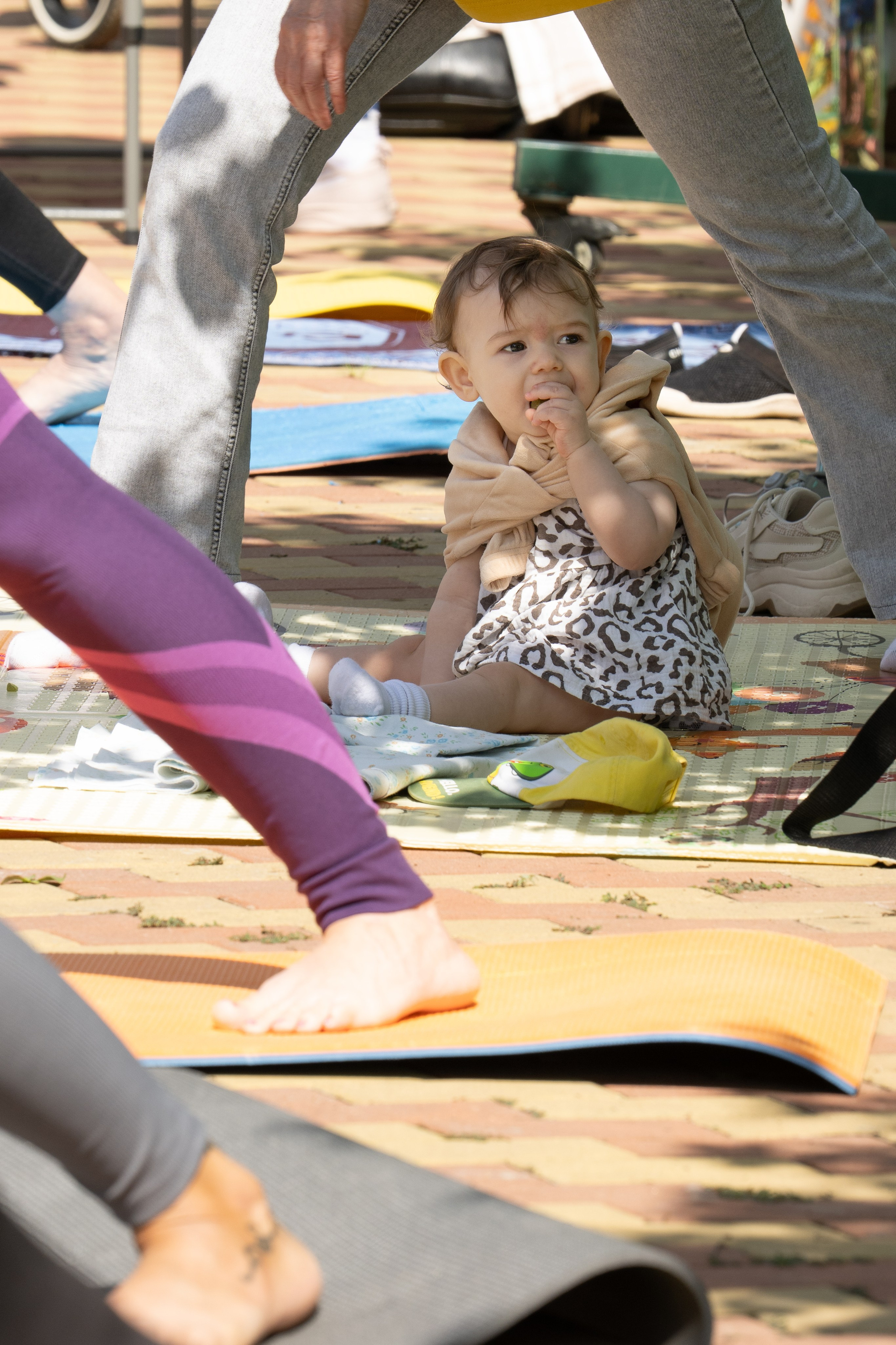 Фестиваль йоги в г. Кореновске. Главная