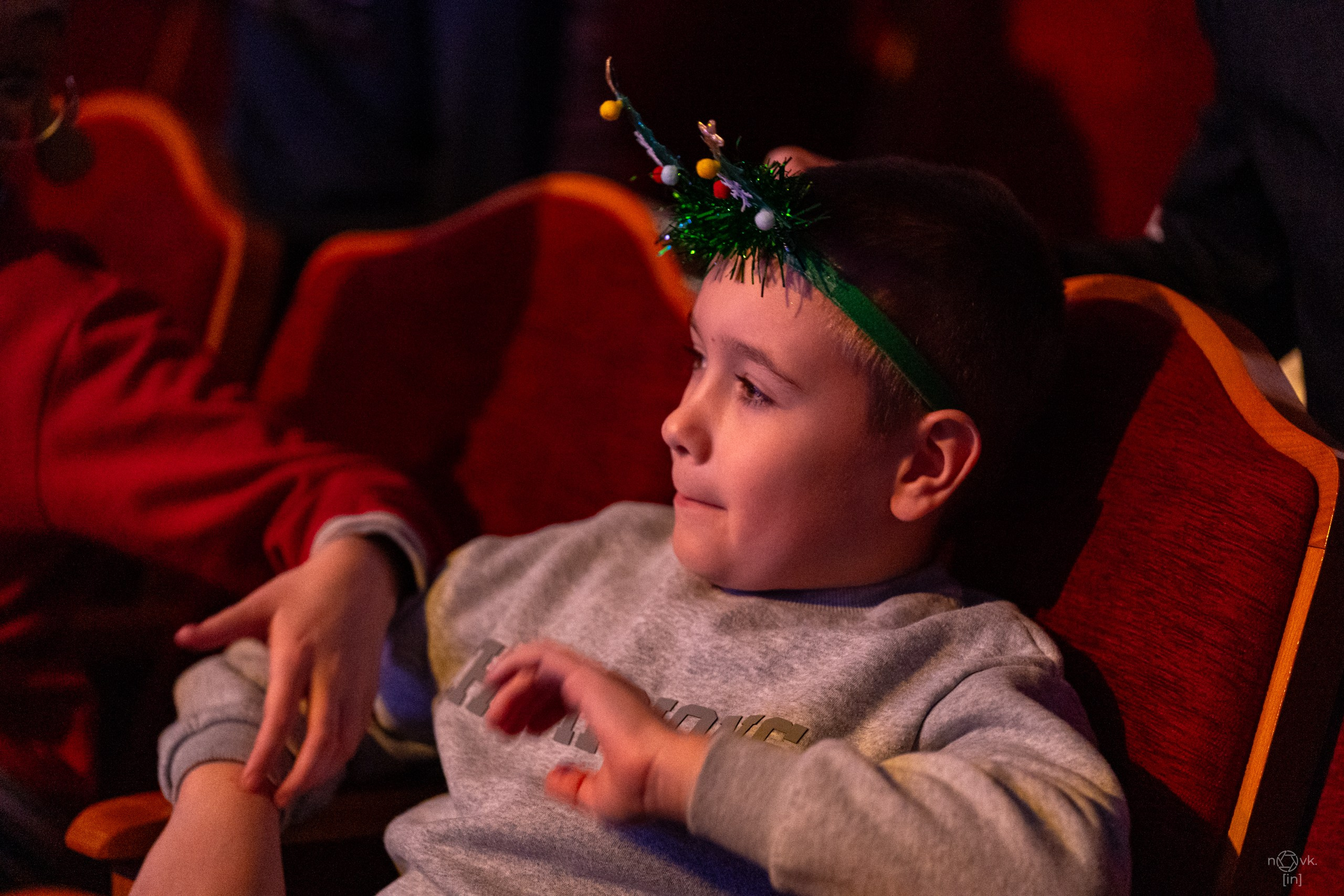 Ёлка. ФОТОГРАФ ИВАН НОВИКОВ | СТАВРОПОЛЬ