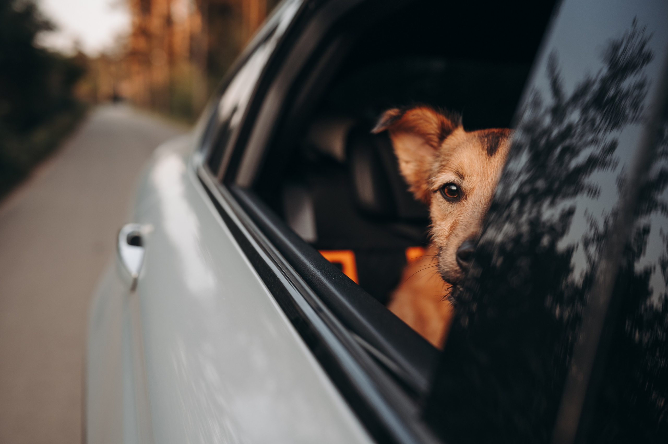 Яна и Санька. Главная