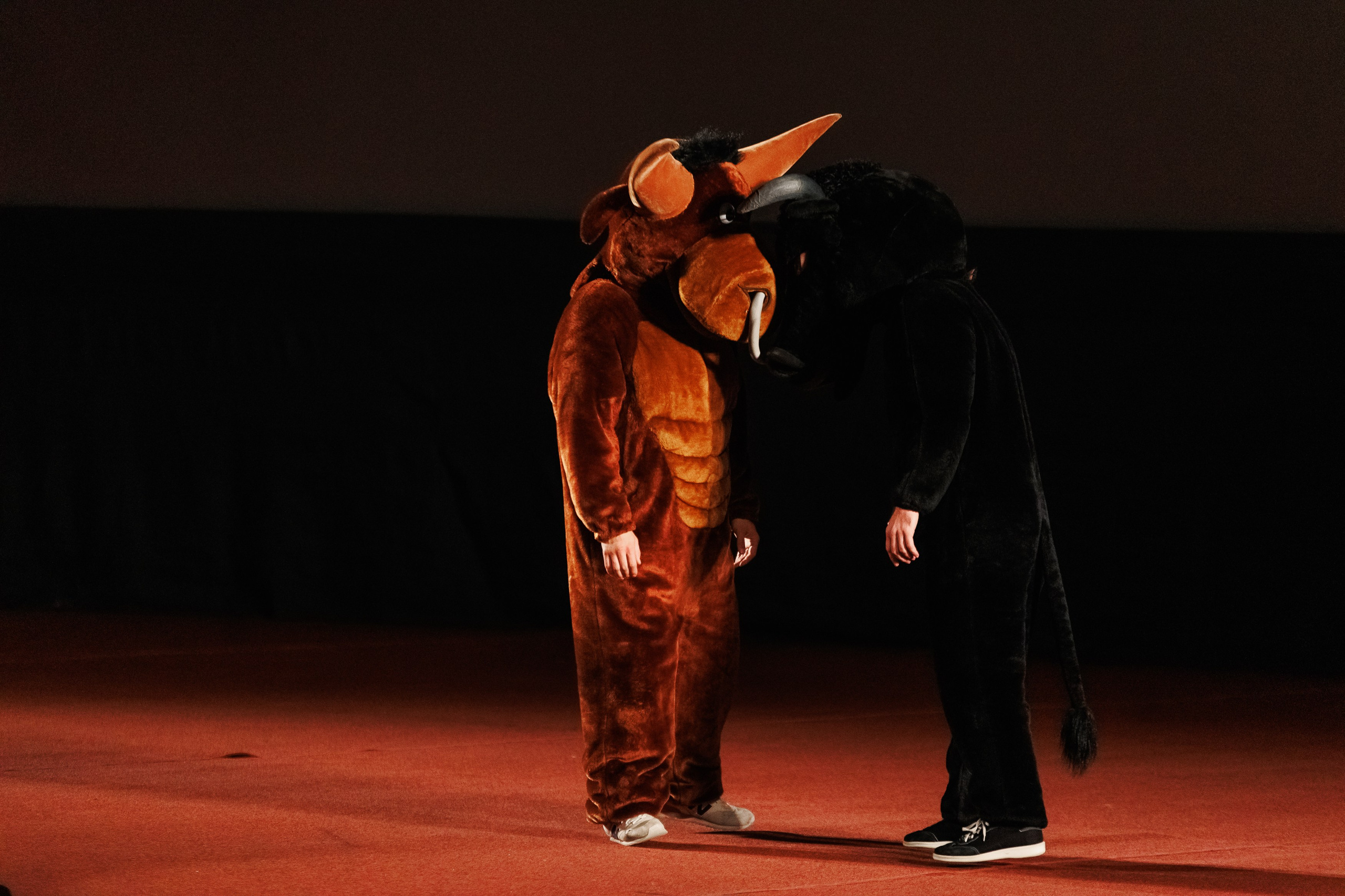 Закрытый показ Шоу. Репортажный фотограф. Москва. Алина Ланская