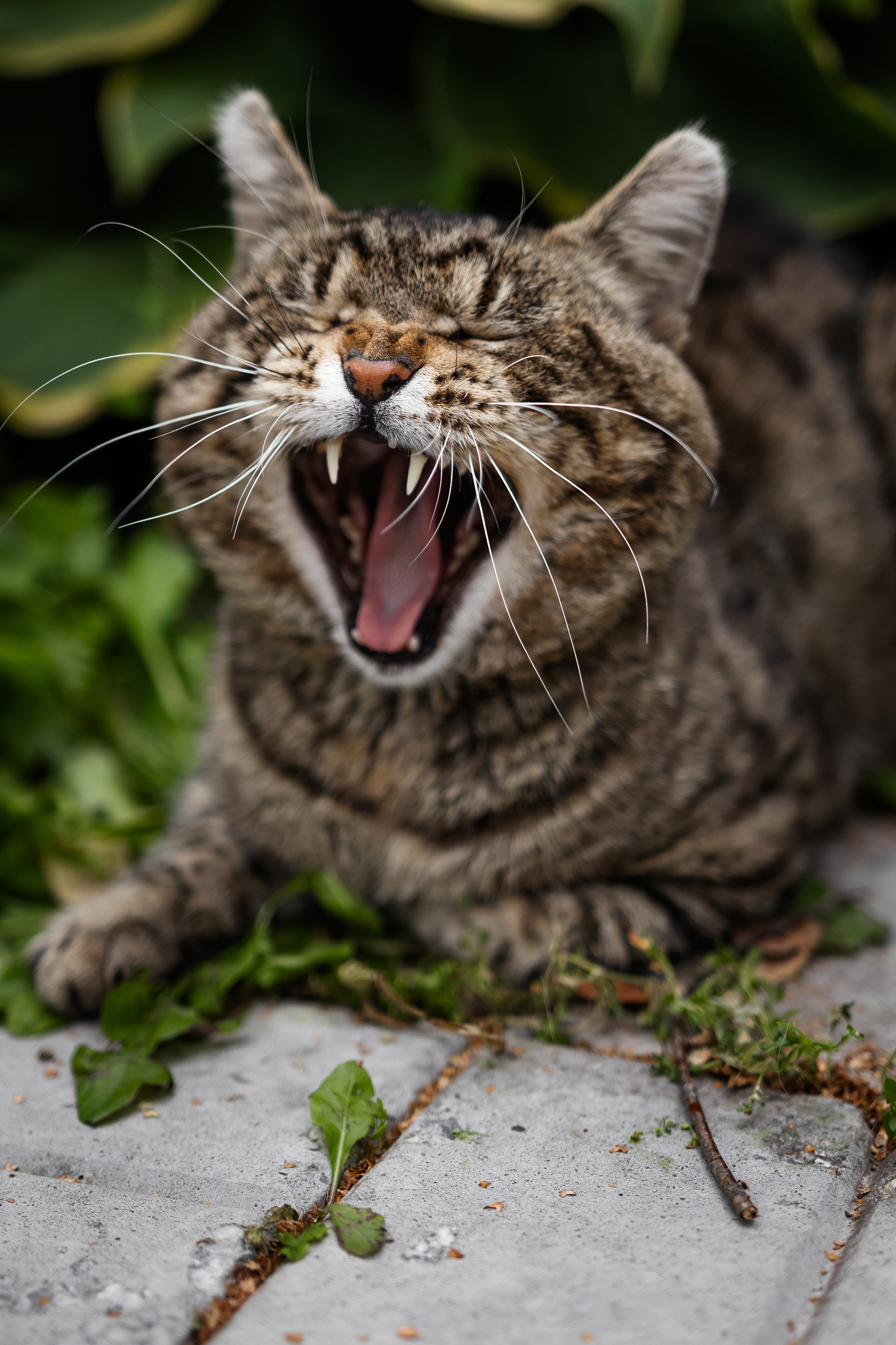 Илья и Настя. Свадебный фотограф Челябинск