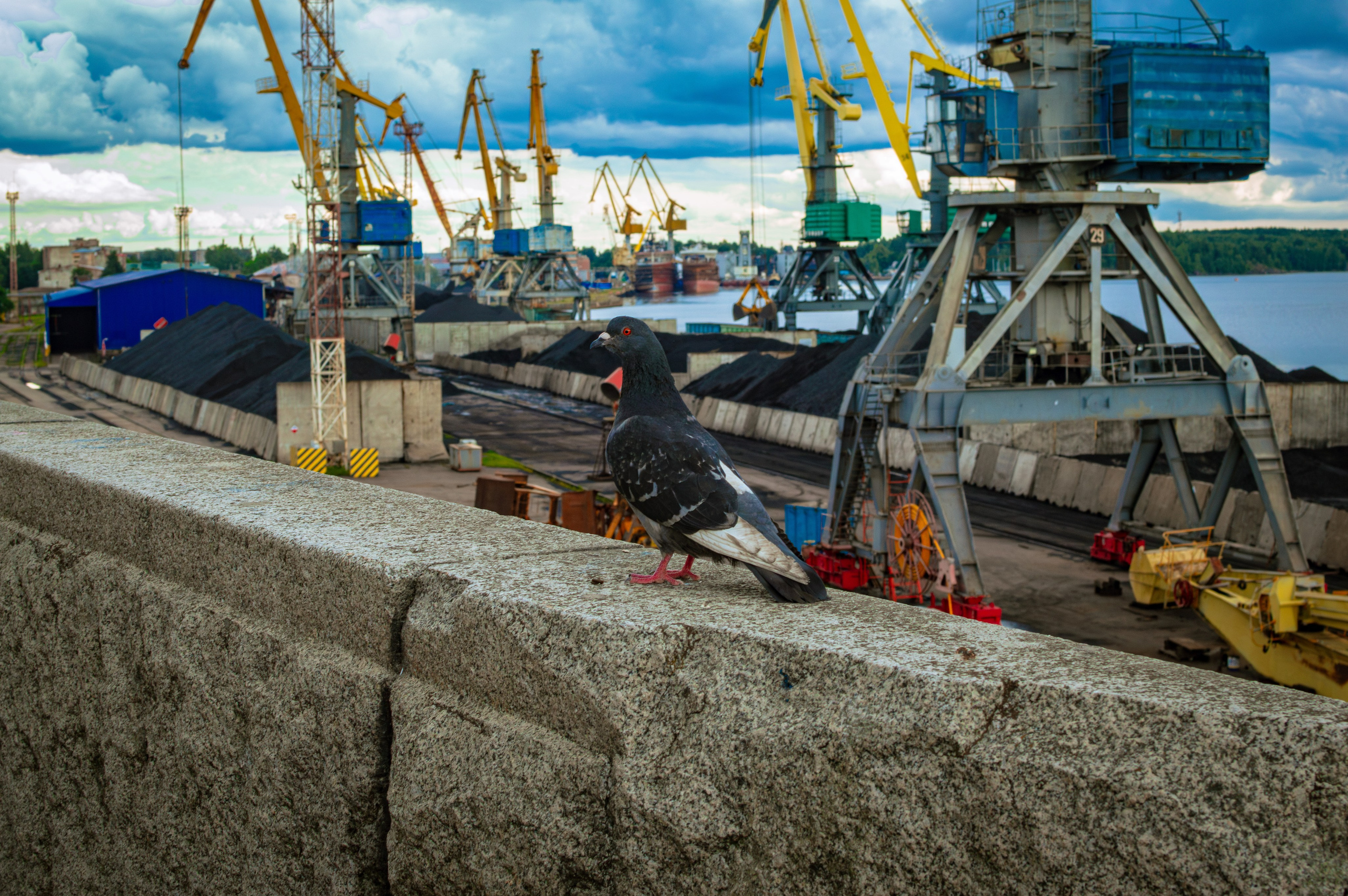Ярослав. Фотограф Артемий Моругов | mbb