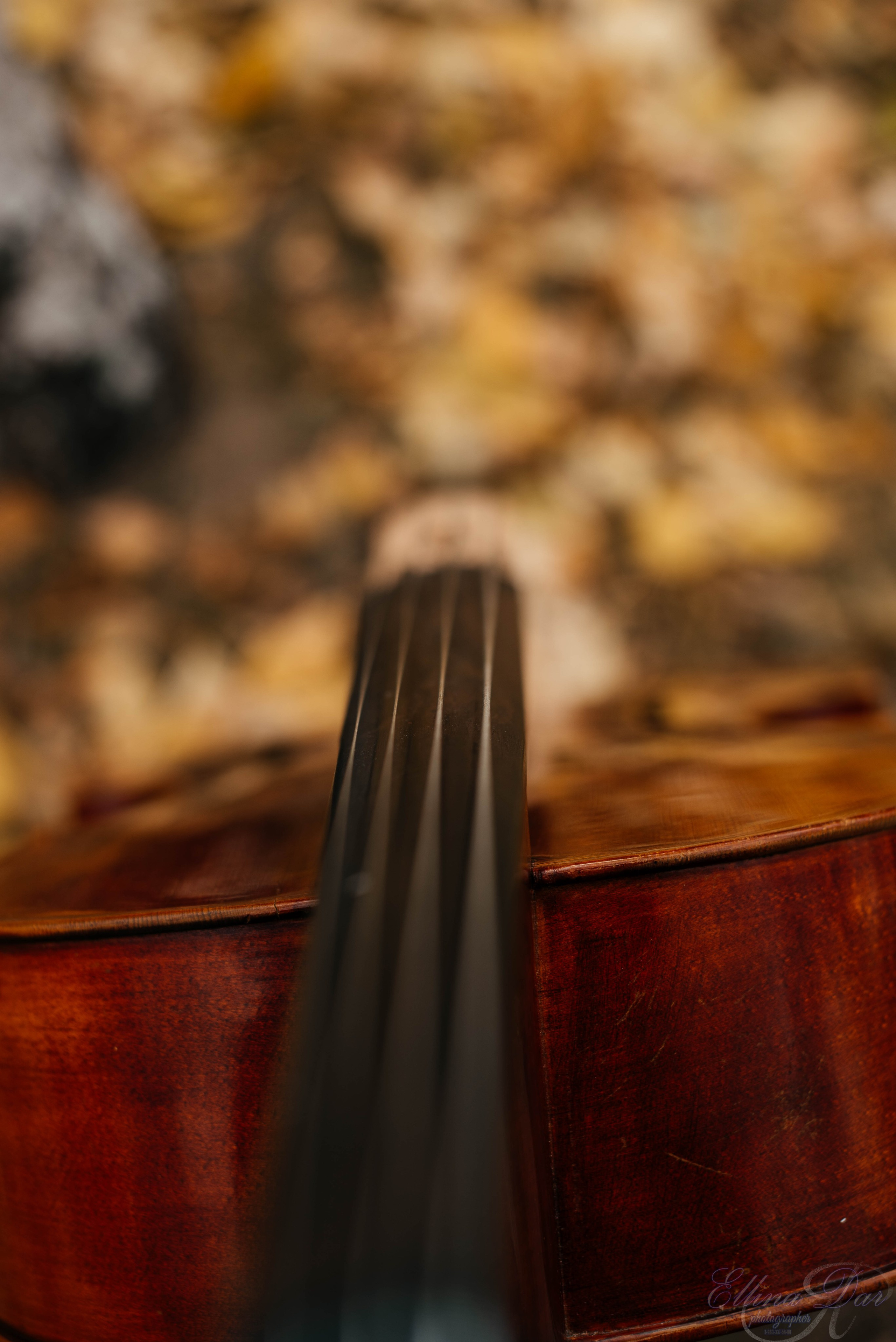 Аюмишка. Фотограф Эллина Дар г. Улан-Удэ