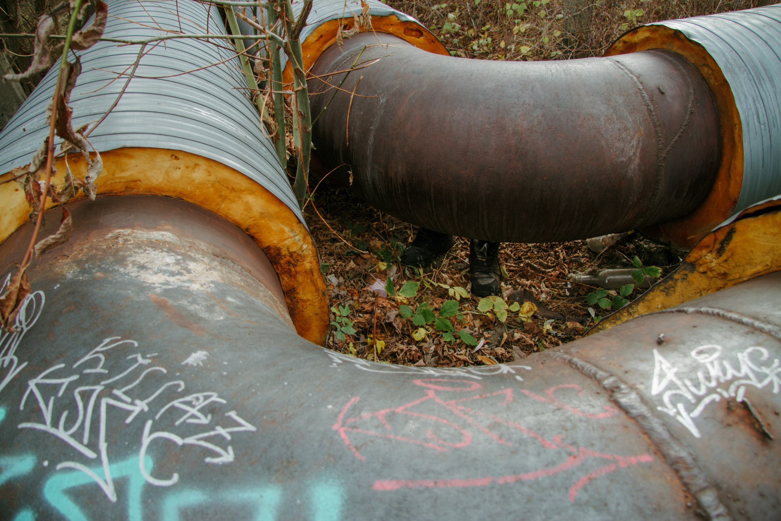 Середина нигде. Варвара Бабёнышева