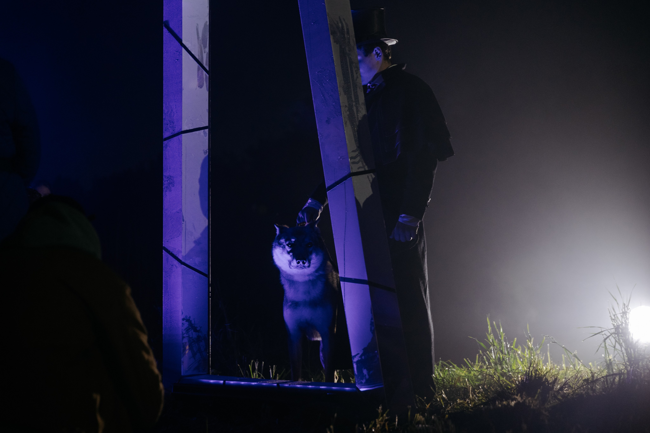 Иммерсивное шоу «Пушкин.Суйда» 2024. Свадебный и репортажный фотограф в Санкт-Петербурге