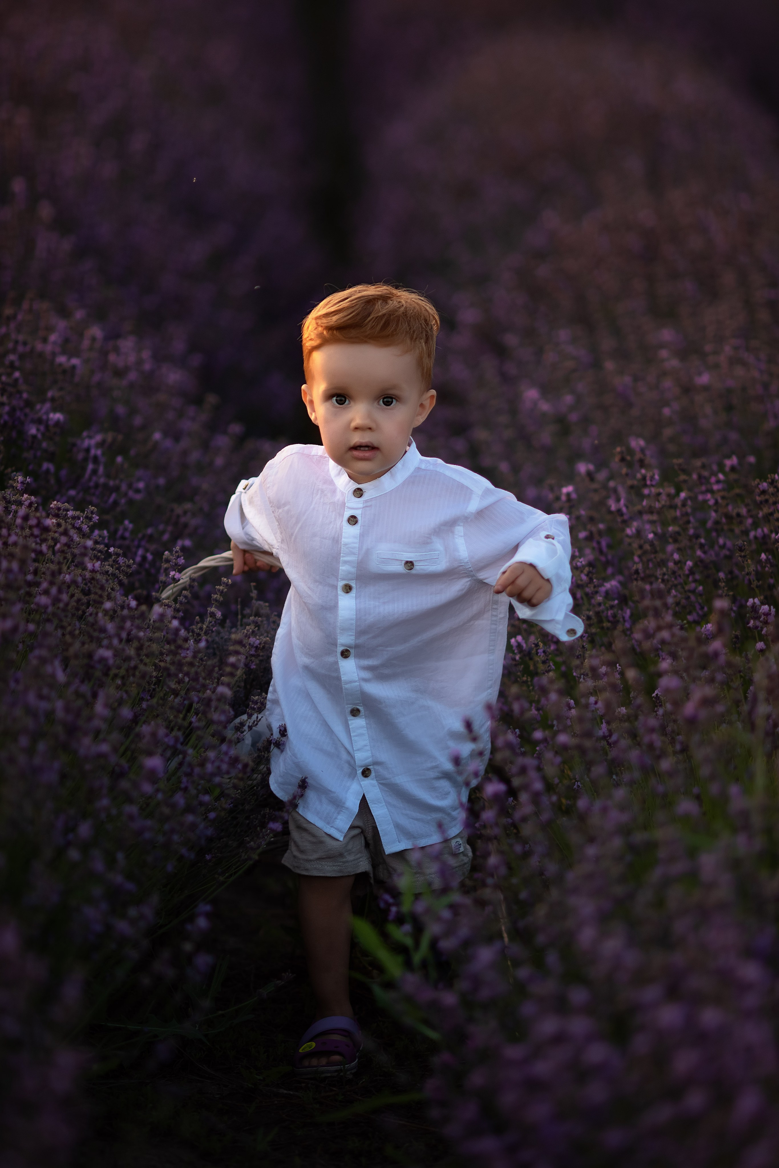 Лаванда. Семейный, детский и женский фотограф в Ростове-на-Дону Кирилина Екатерина