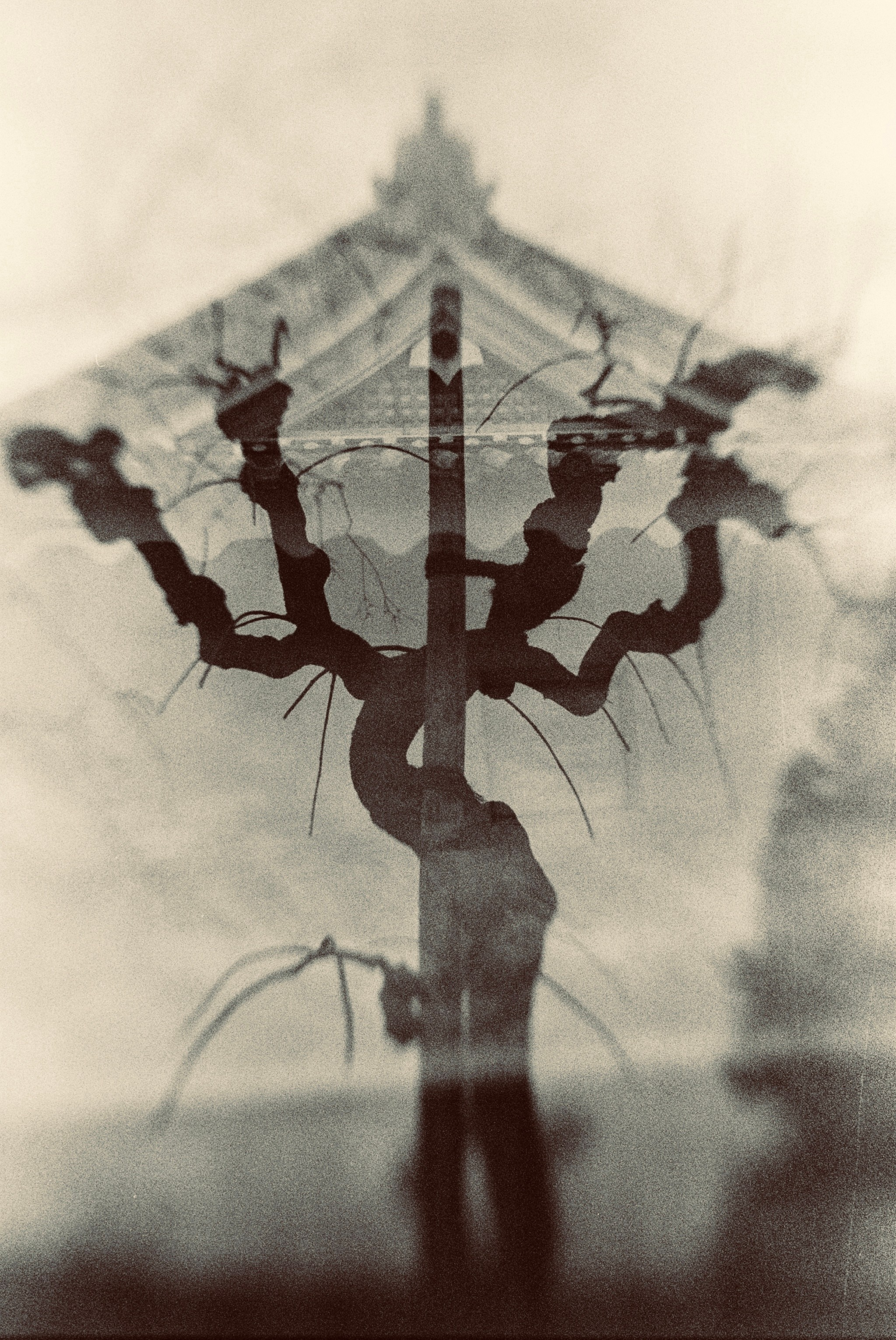 JAPAN FILM. International visual artist