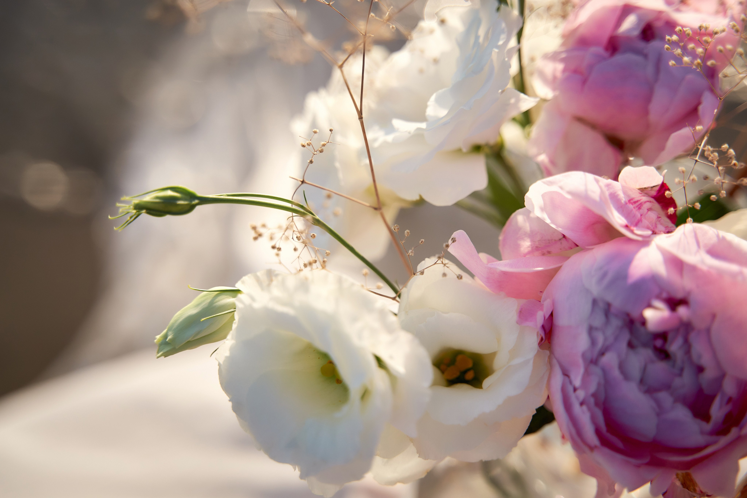 Love Story в Шато Андре. ТВИНС СТУДИО — лучшие свадебные фотографы и видеографы в Краснодаре