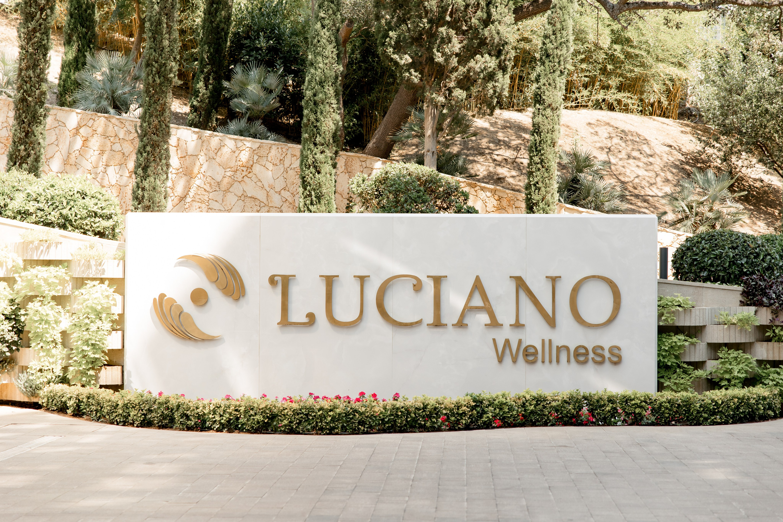 Влад и Диана