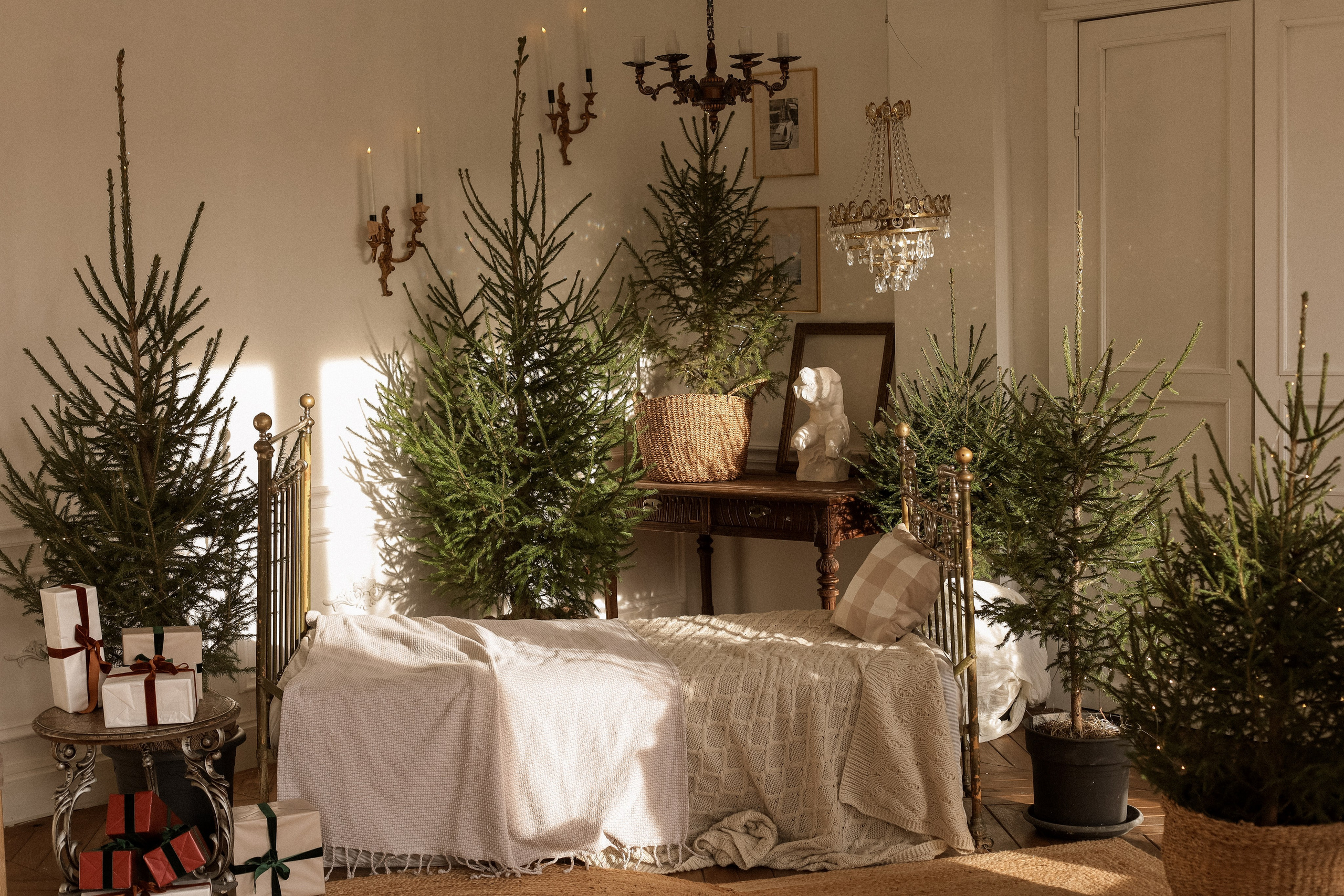 Новогодние 2025-2026. Семейный фотограф Тюмень Смирнова Юлия