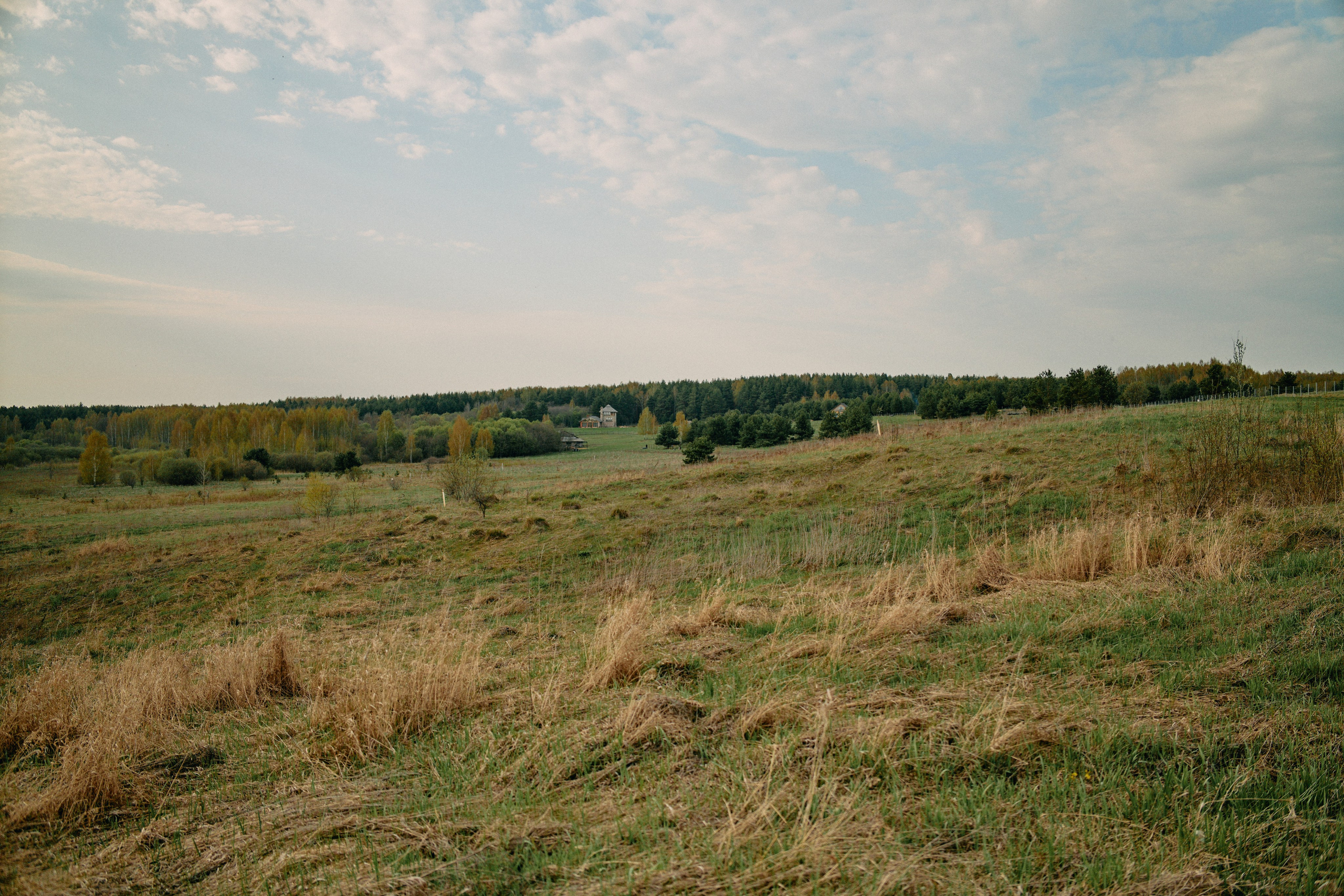Бутик-отель Поле летом. Профессиональный Фотограф во Владимире, в Москве и в Суздале — Полина Романычева