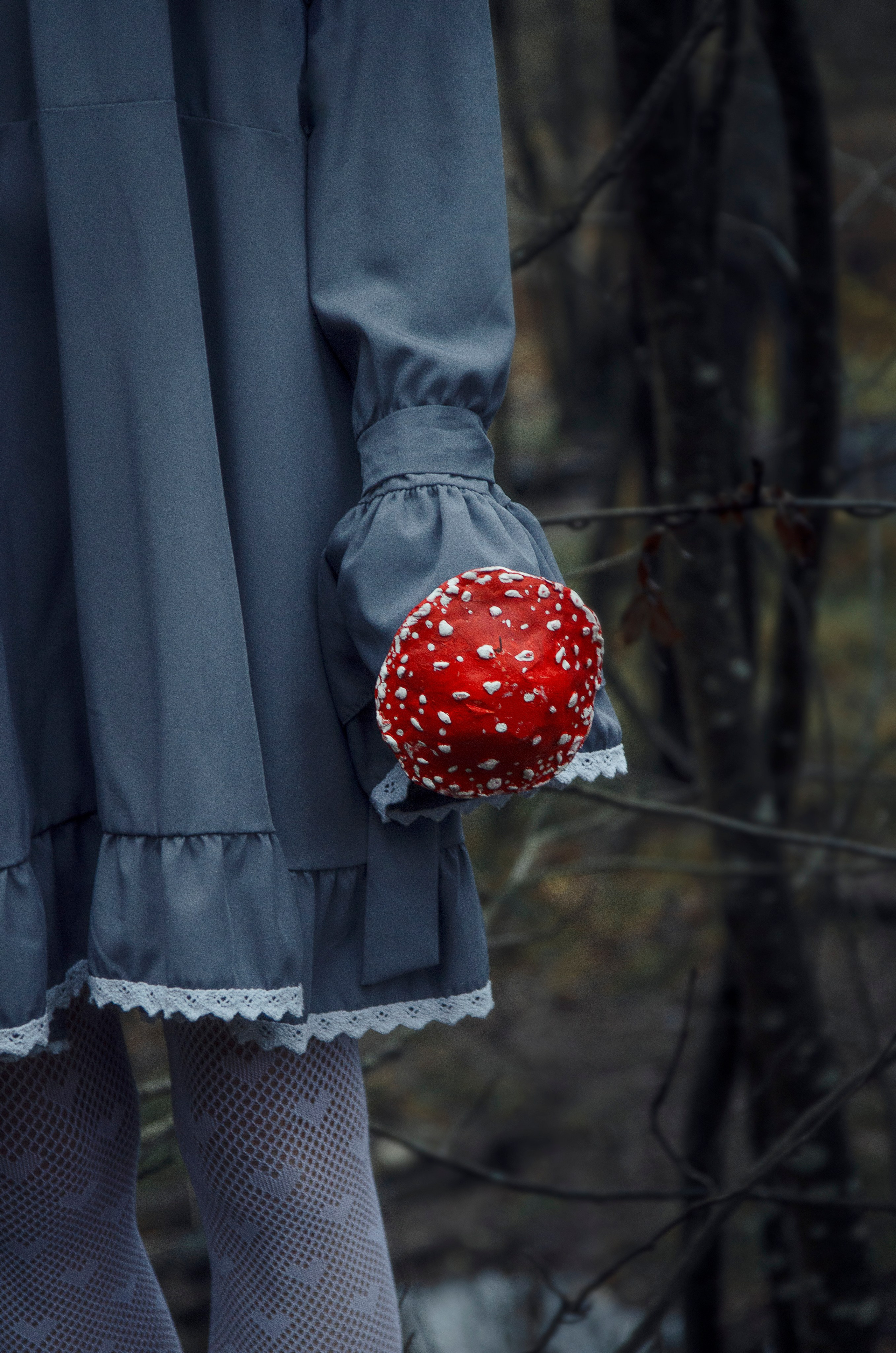 Атлас аманитовых чудес. Фотосессии по мотивам сказок и фильмов — Катерина Исауленко. СПб