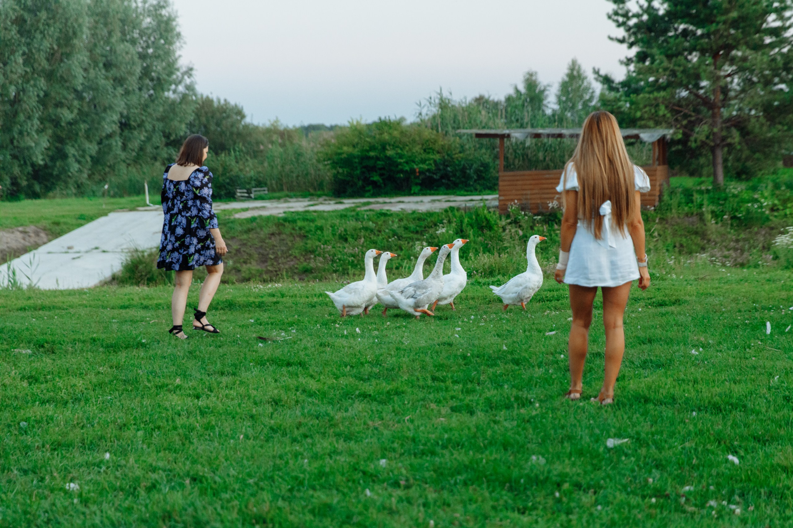 SUMMER. Motorkon. Свадебный фотограф в Ярославле Анастасия Архипова