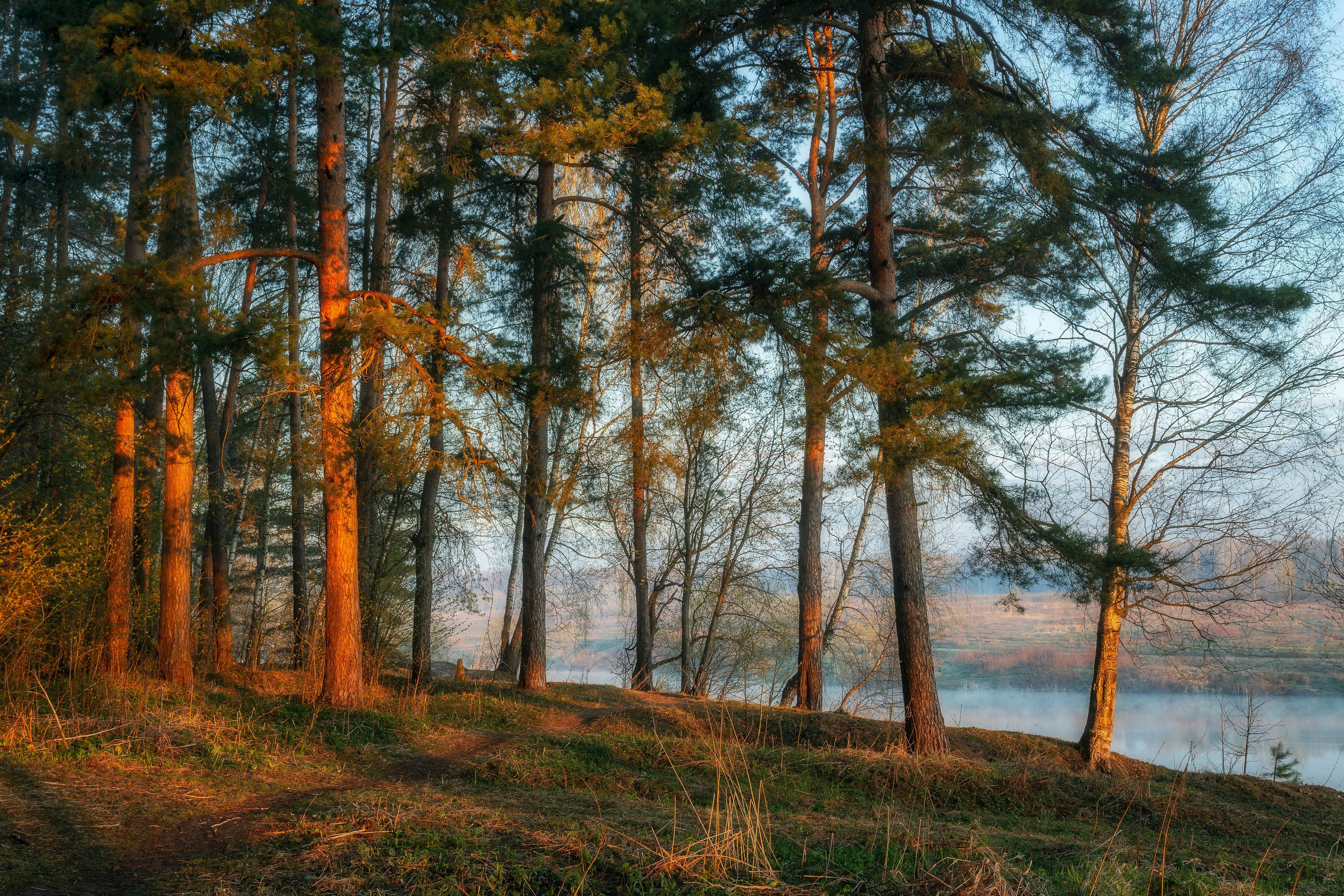 Природа (Весна). Фотограф Мартыненко Дмитрий