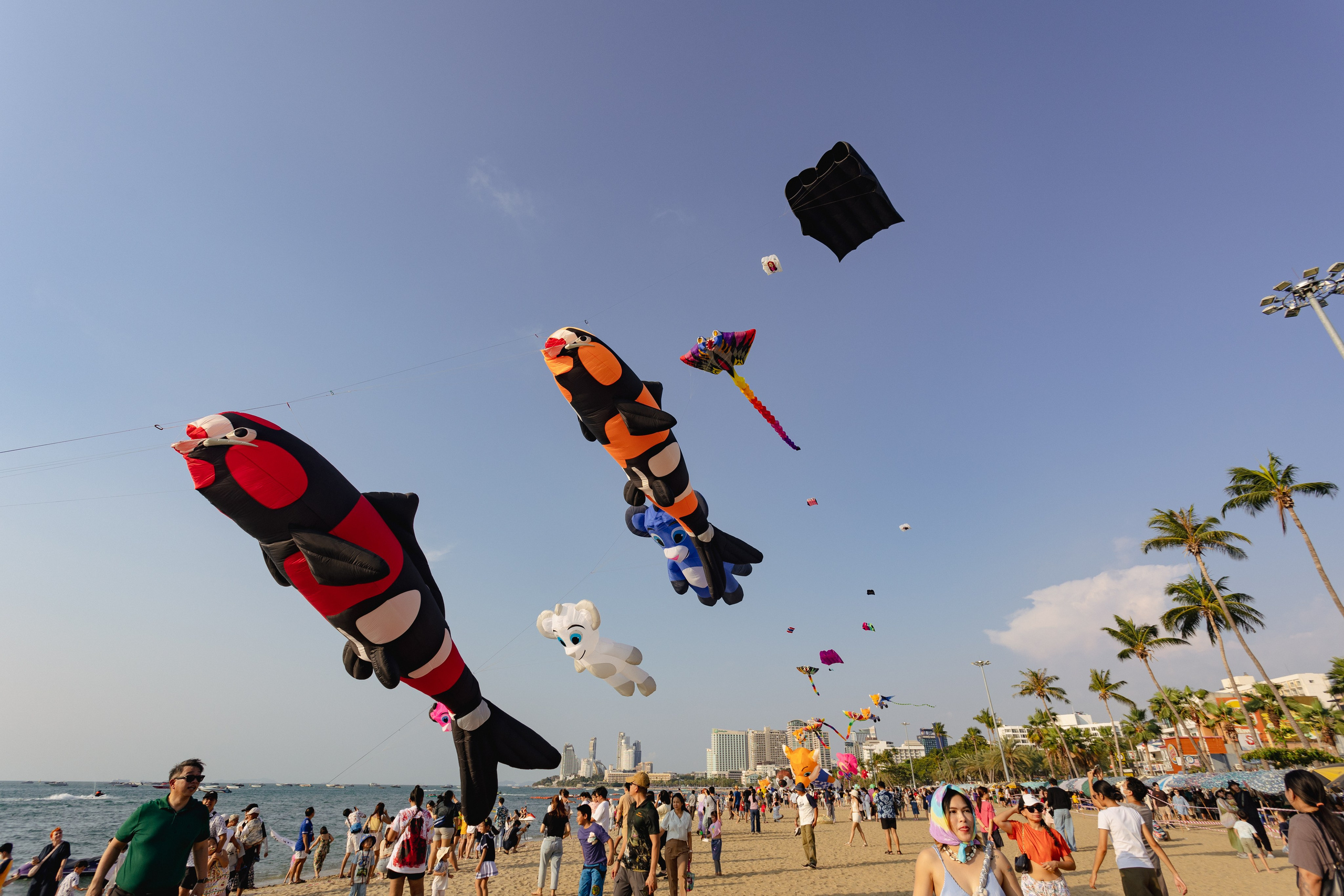 PATTAYA INTERNATIONAL KITE ON THE BEACH 2024. Photographer Sonkina Tatiana (Tanya Ash)