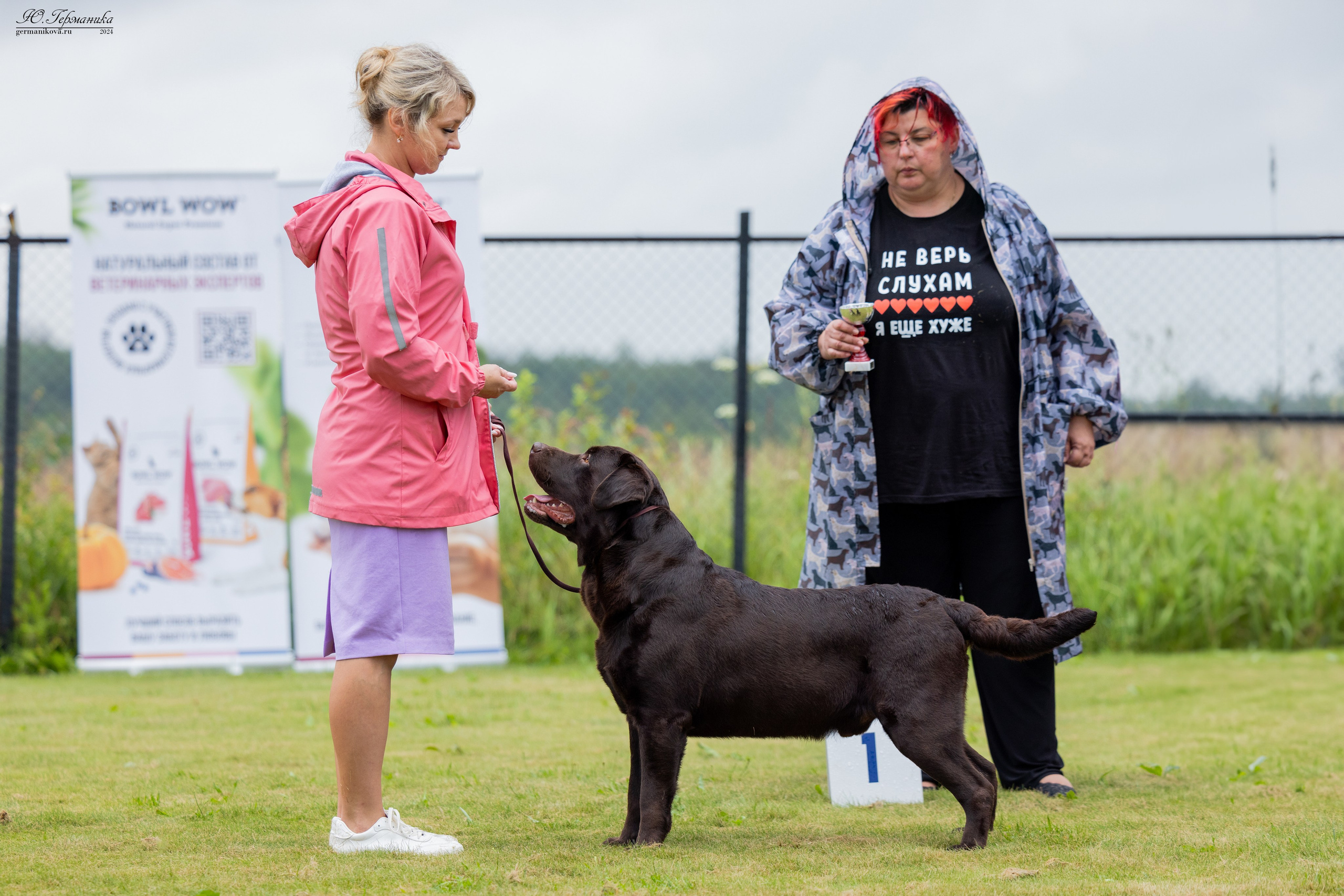Ярославль 21.07.24 и Балашиха 13.07.24. Фотограф-анималист Юлия Германика