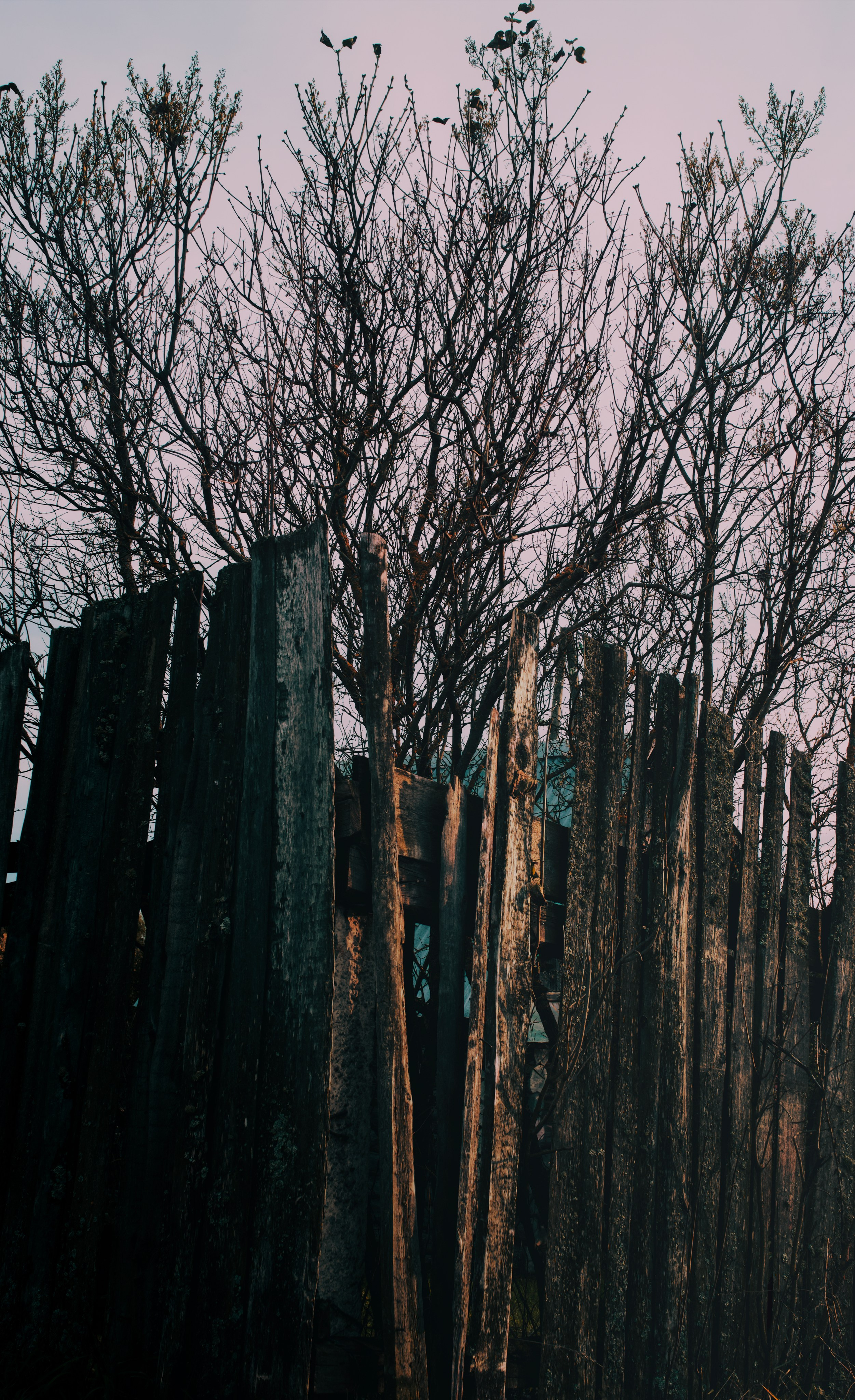 Эстетика забытых мест. Фотограф-любитель из Кирова Андрей Погребняк