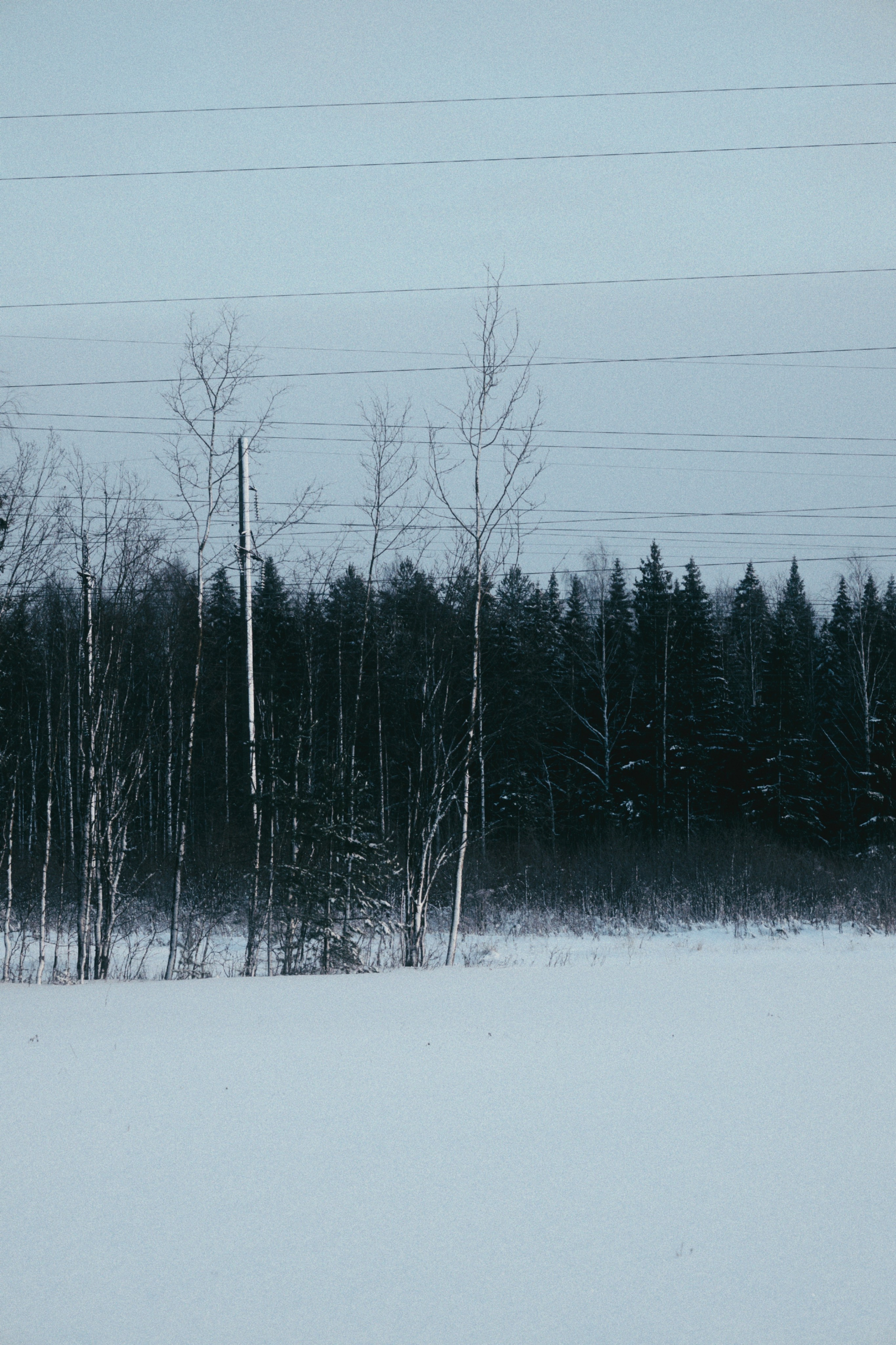 Пейзажи. Фотограф-любитель из Кирова Андрей Погребняк