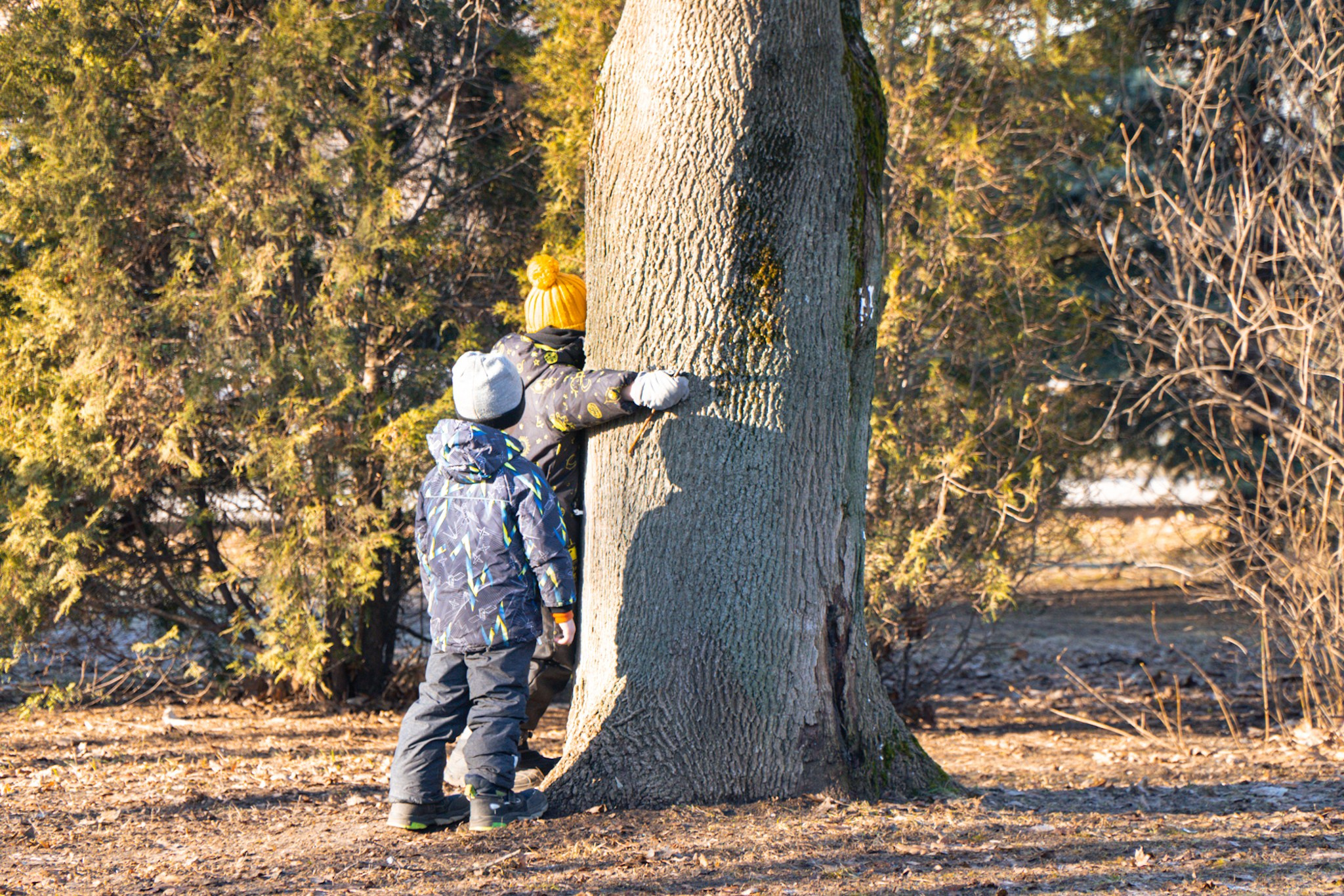 5 вёрст Наташинский 8 марта. Роман Капилюшов. Бег. Фото. Видео. г. Люберцы