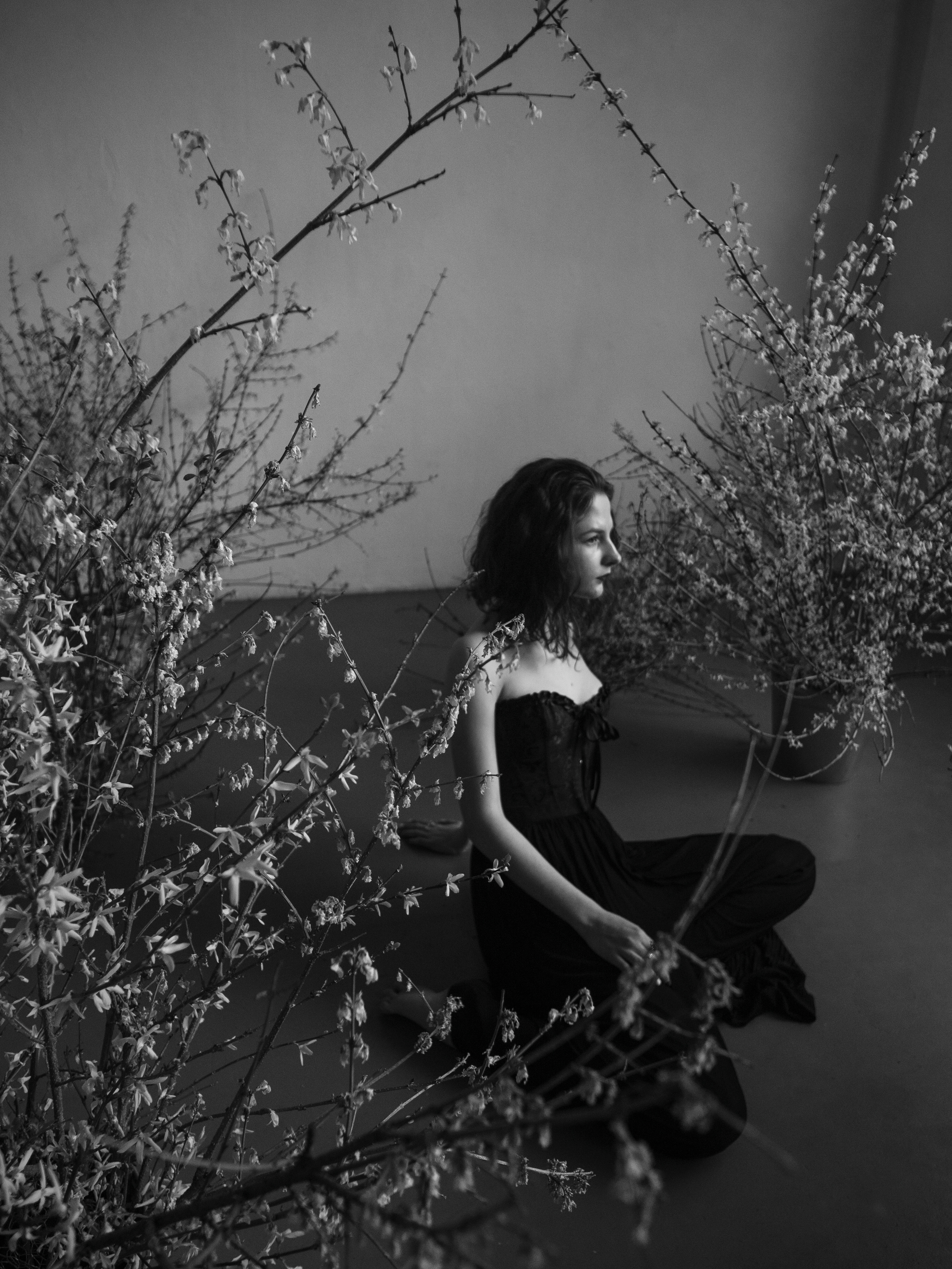 Форзиция. Фотограф и видеограф в Благовещенске и Санкт-Петербурге Мурыгина Мария