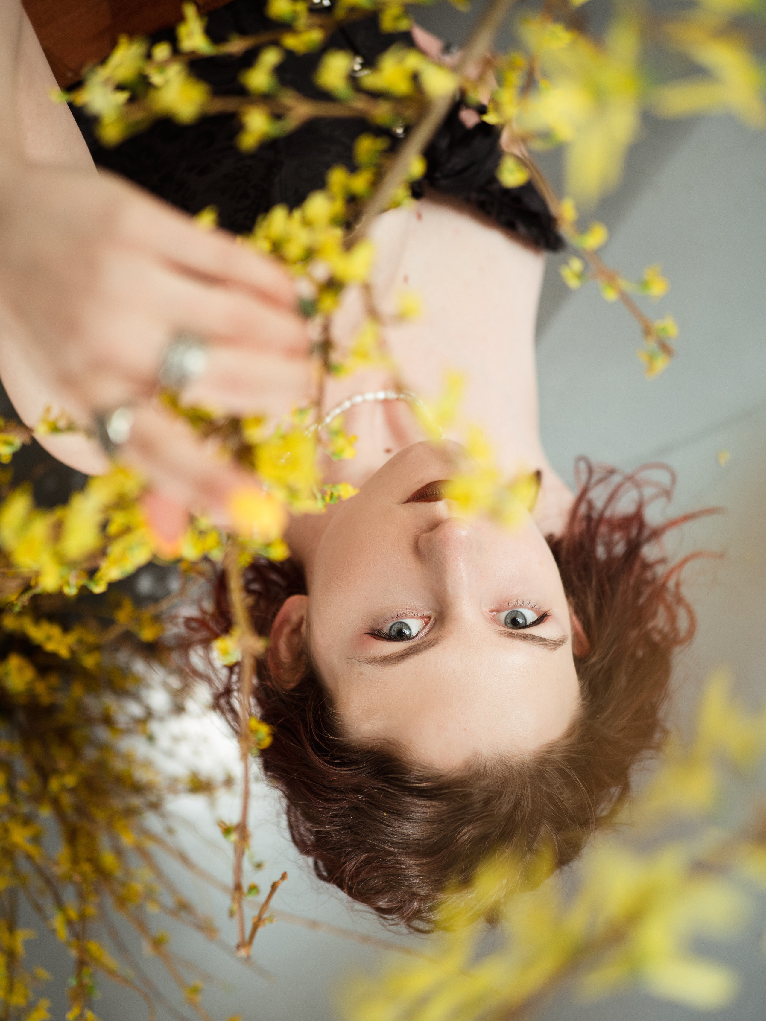 Форзиция. Фотограф и видеограф в Благовещенске и Санкт-Петербурге Мурыгина Мария