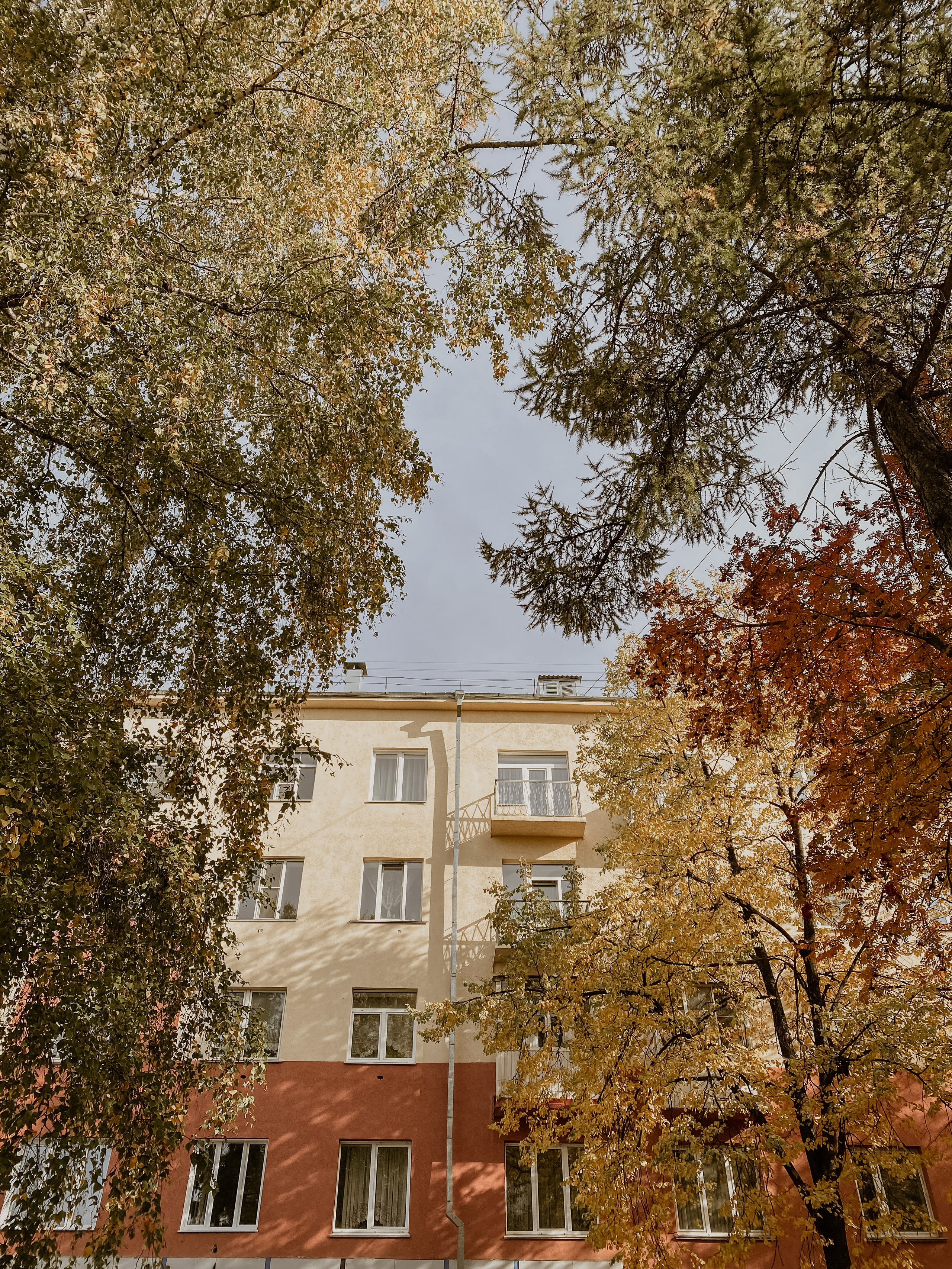 Iphone. Photographer in Turkey — Dari N