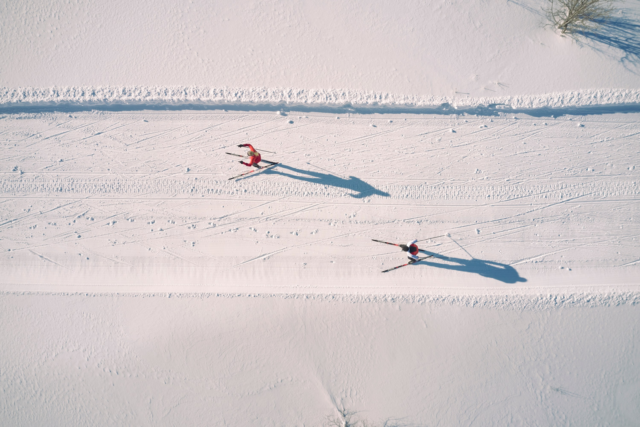 Cross-country skis for Sportsmaster. Creative Photographer Denis Klero