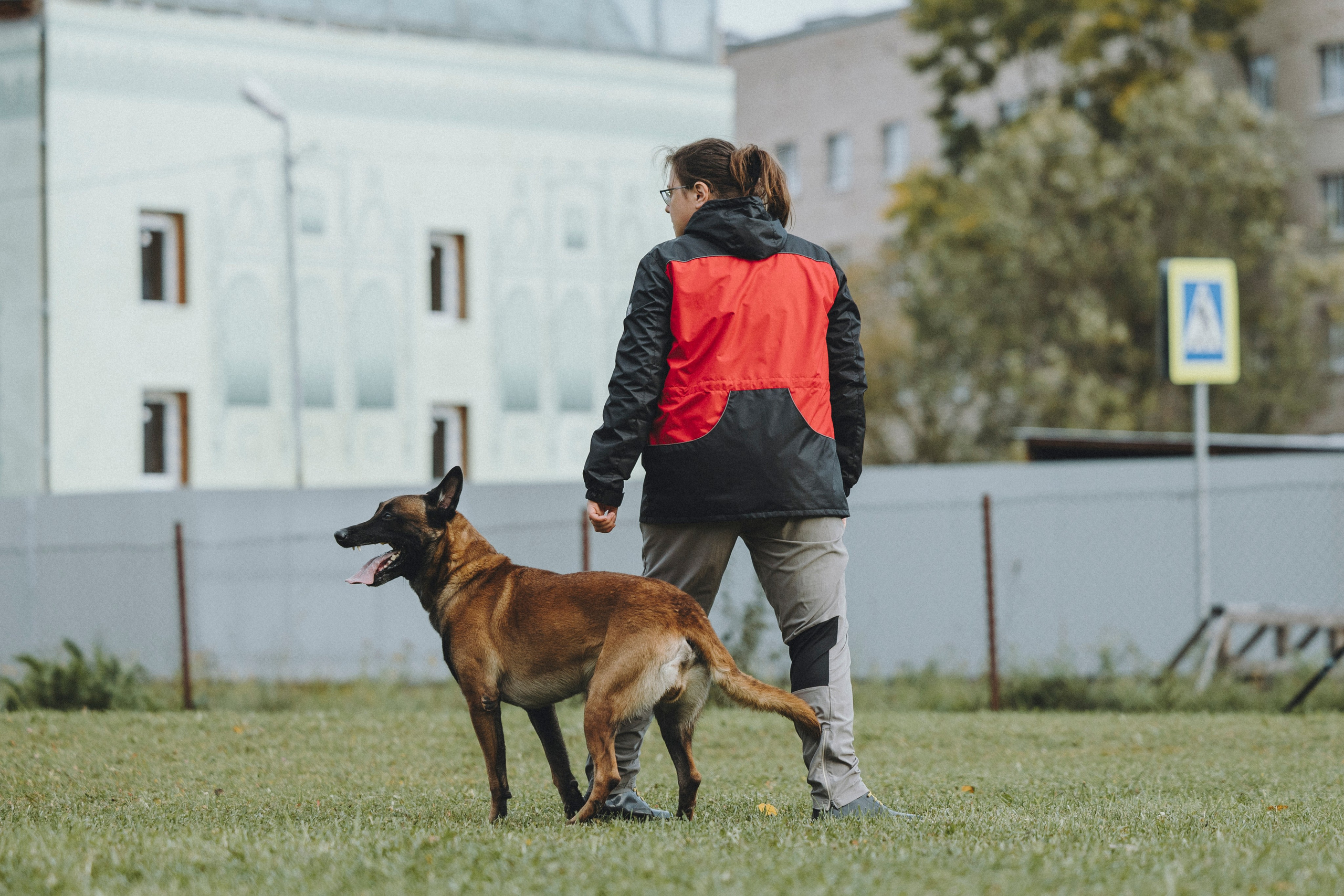 Испытания по мондьорингу г. Пушкин 29.09.2024. Фотограф-анималист Анна Маринич