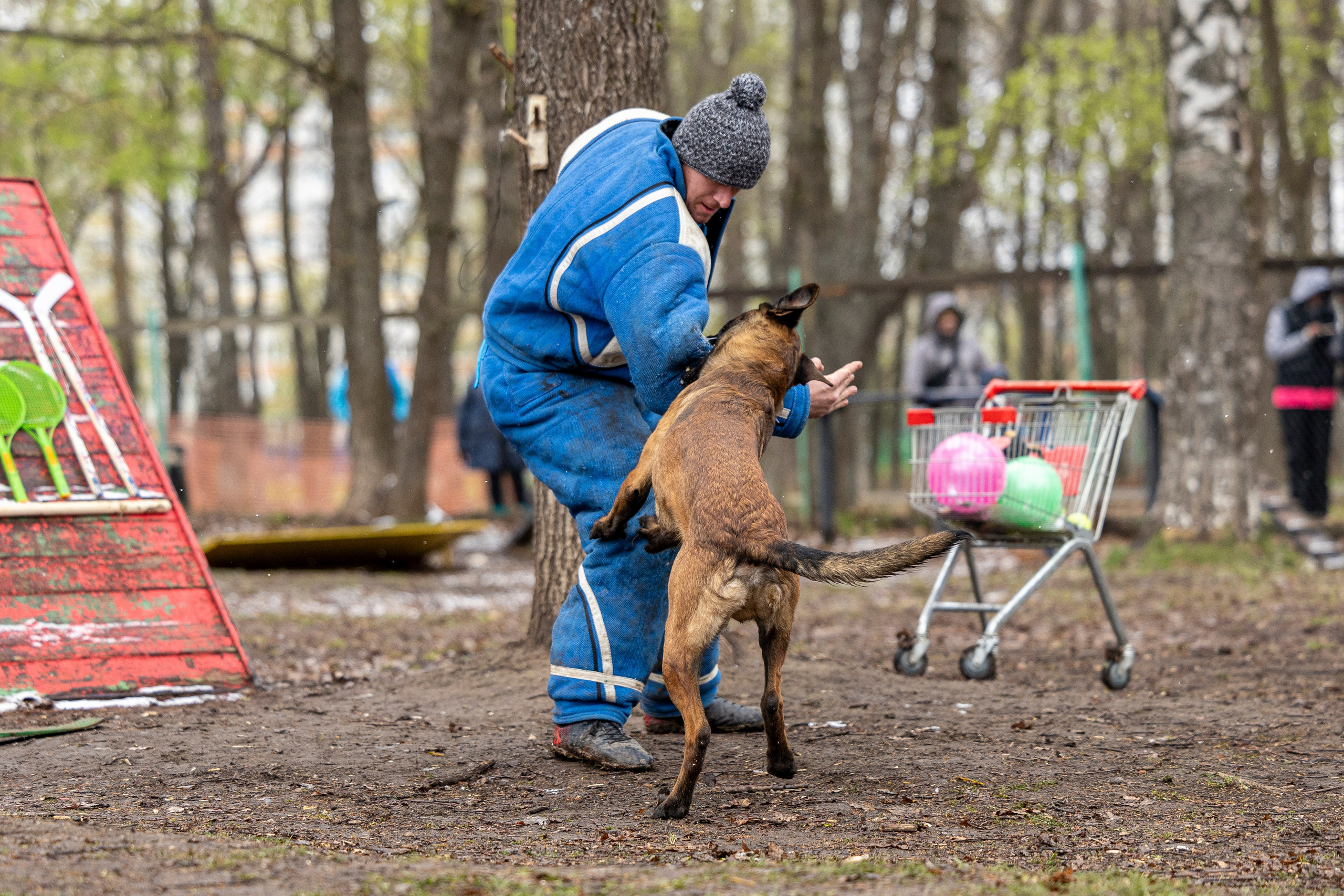 Квалификационные состязания по мондьорингу г. Вологда 11.05.24. Фотограф-анималист Анна Маринич
